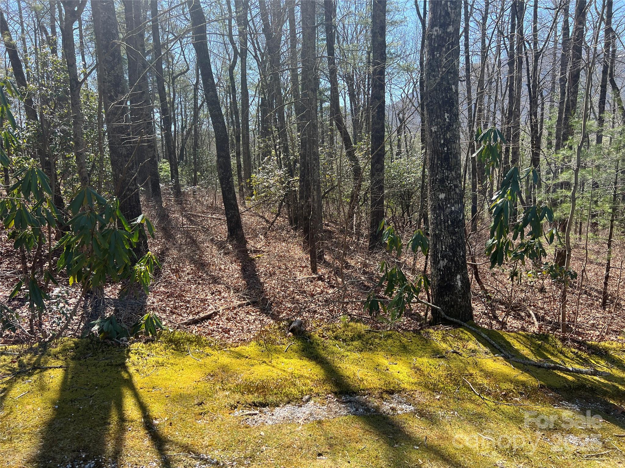 Lake Toxaway Estates - Land