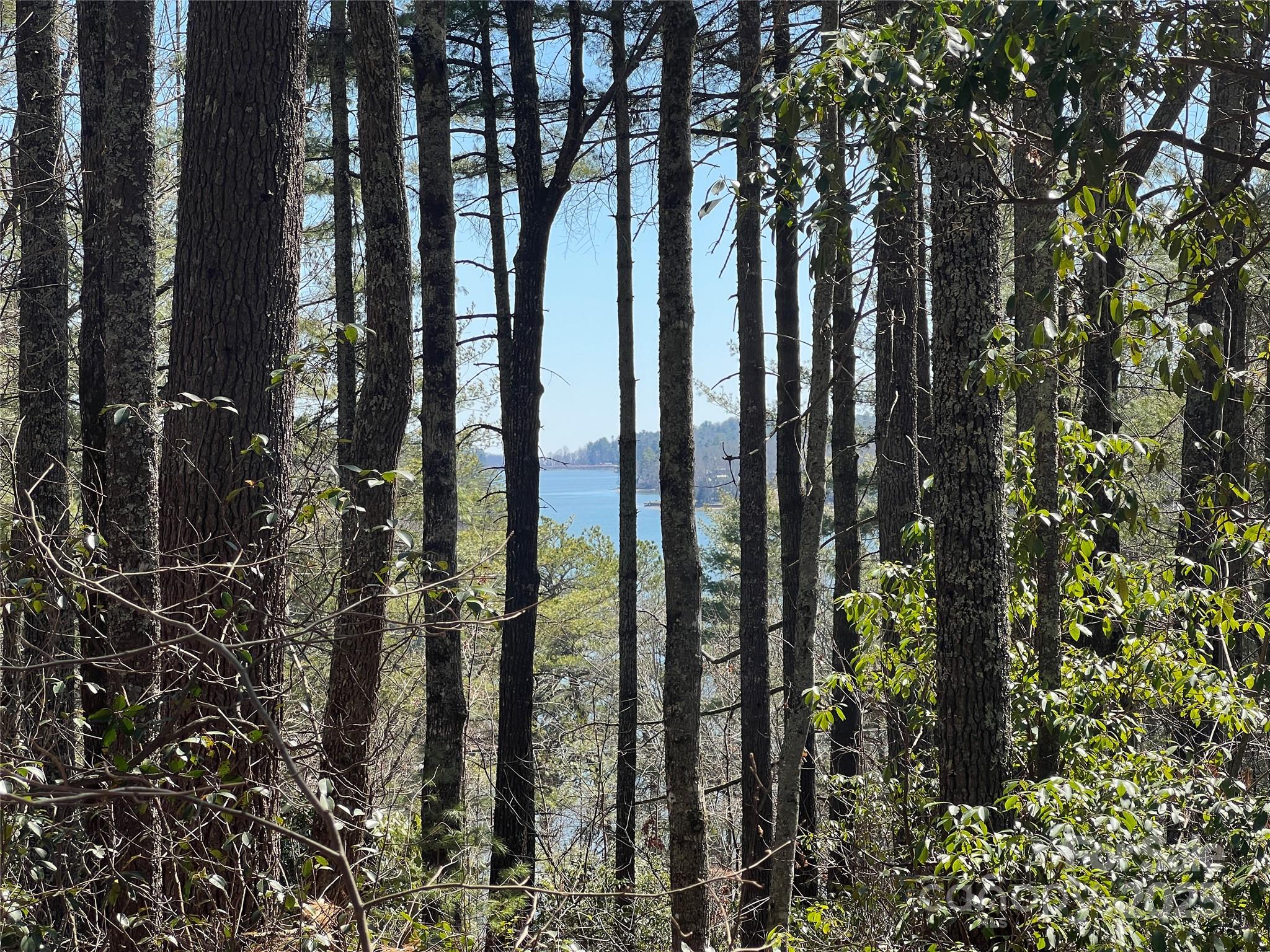 Lake Toxaway Estates - Land