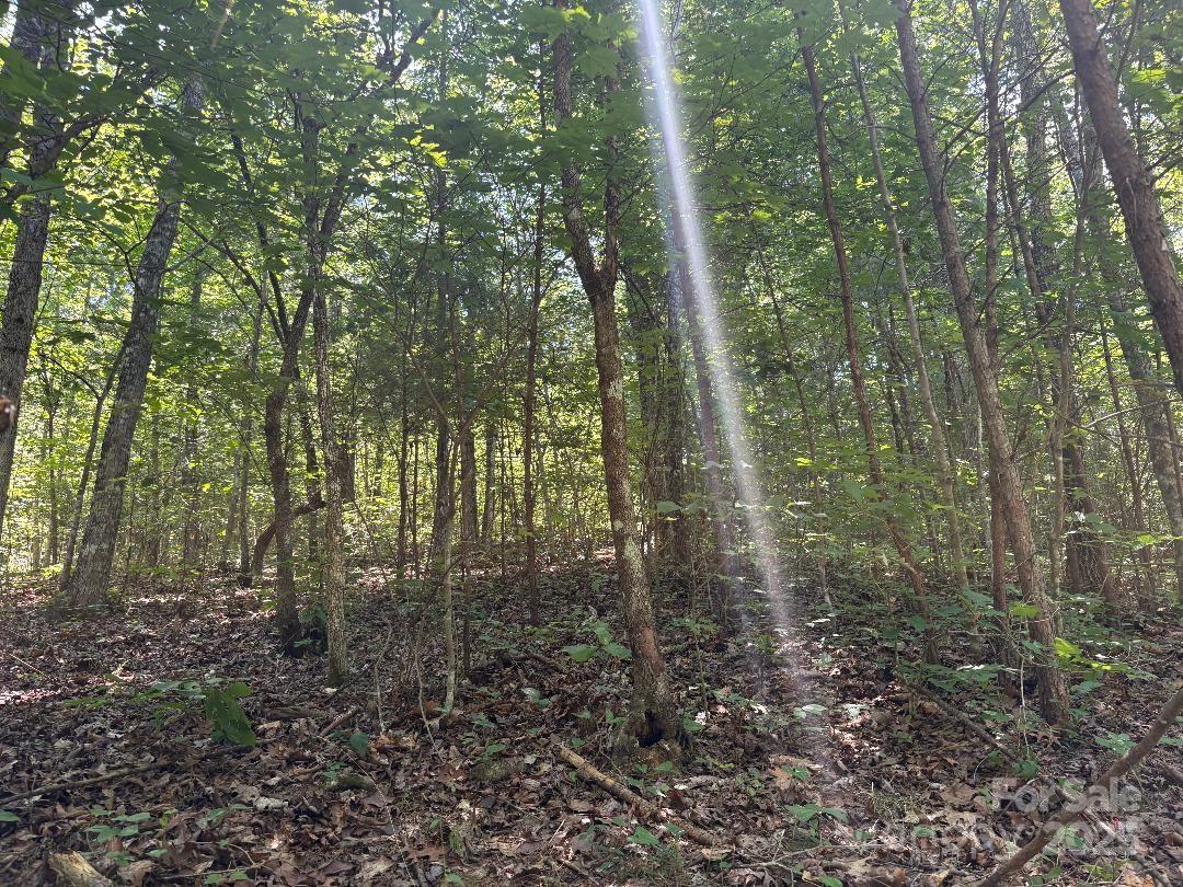 The Views at Woodland Hills - Land