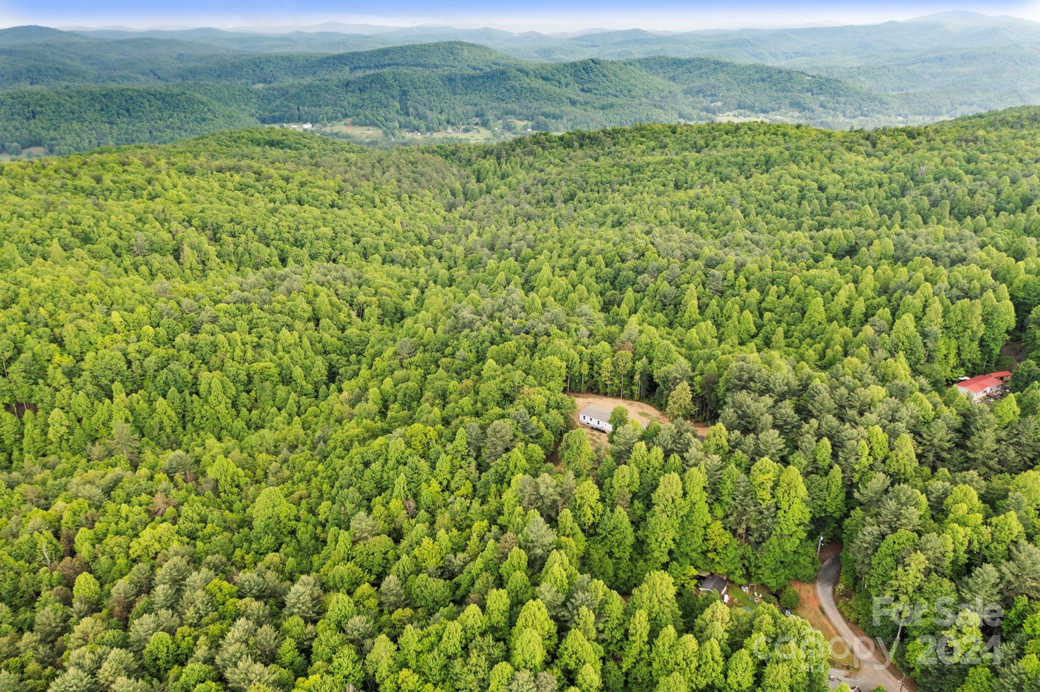 JUST LOWERED - GREAT OPPORTUNITY. This is an excellent opportunity for your next build. Beautiful wooded acreage is just off Jeter Mountain Road, south of Etowah. This 1.60-acre lot is waiting for your dream build. The lot ranges from level to sloping and exudes privacy. Additional acreage may be available for a larger estate build; MLS#s 4148831, 4148832, and 4148833. Not ready to build? A home is available on Lot 2 (1.61 acre), MLS 4144598.