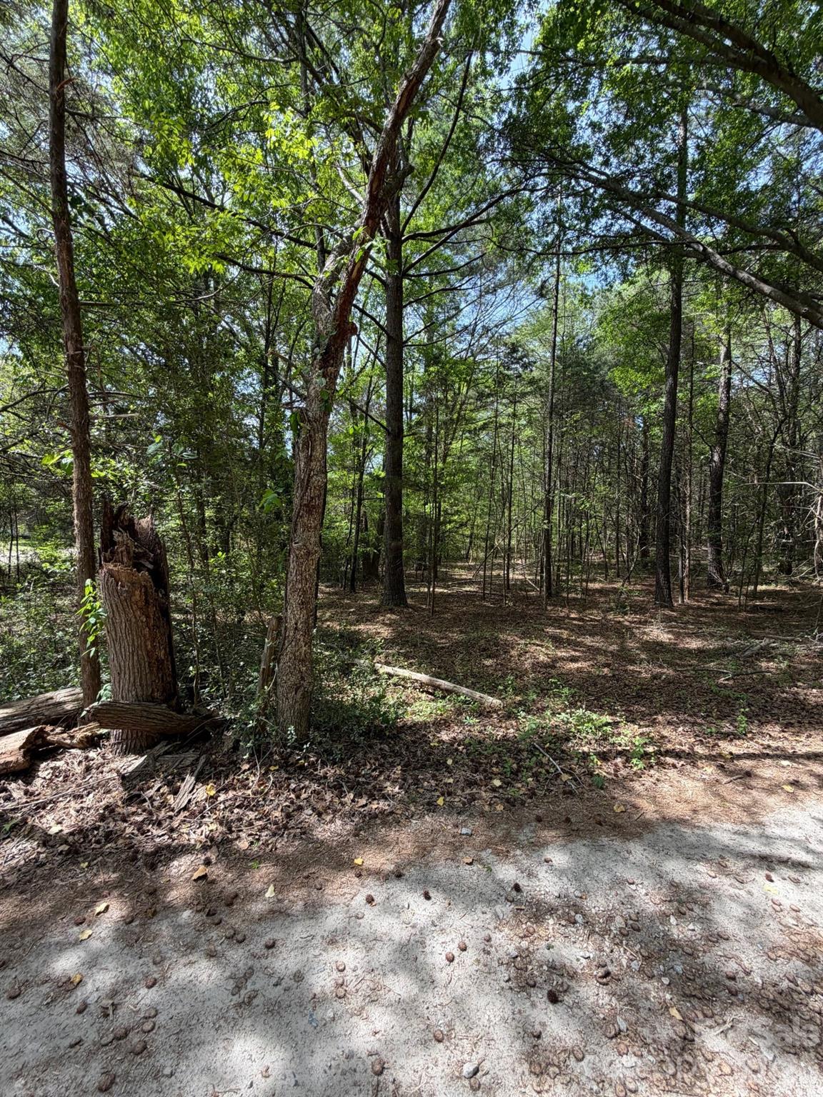 Situated on a +/- 0.99 acre wooded lot, this property gives you a little privacy and a great spot to bring your ideas to life.