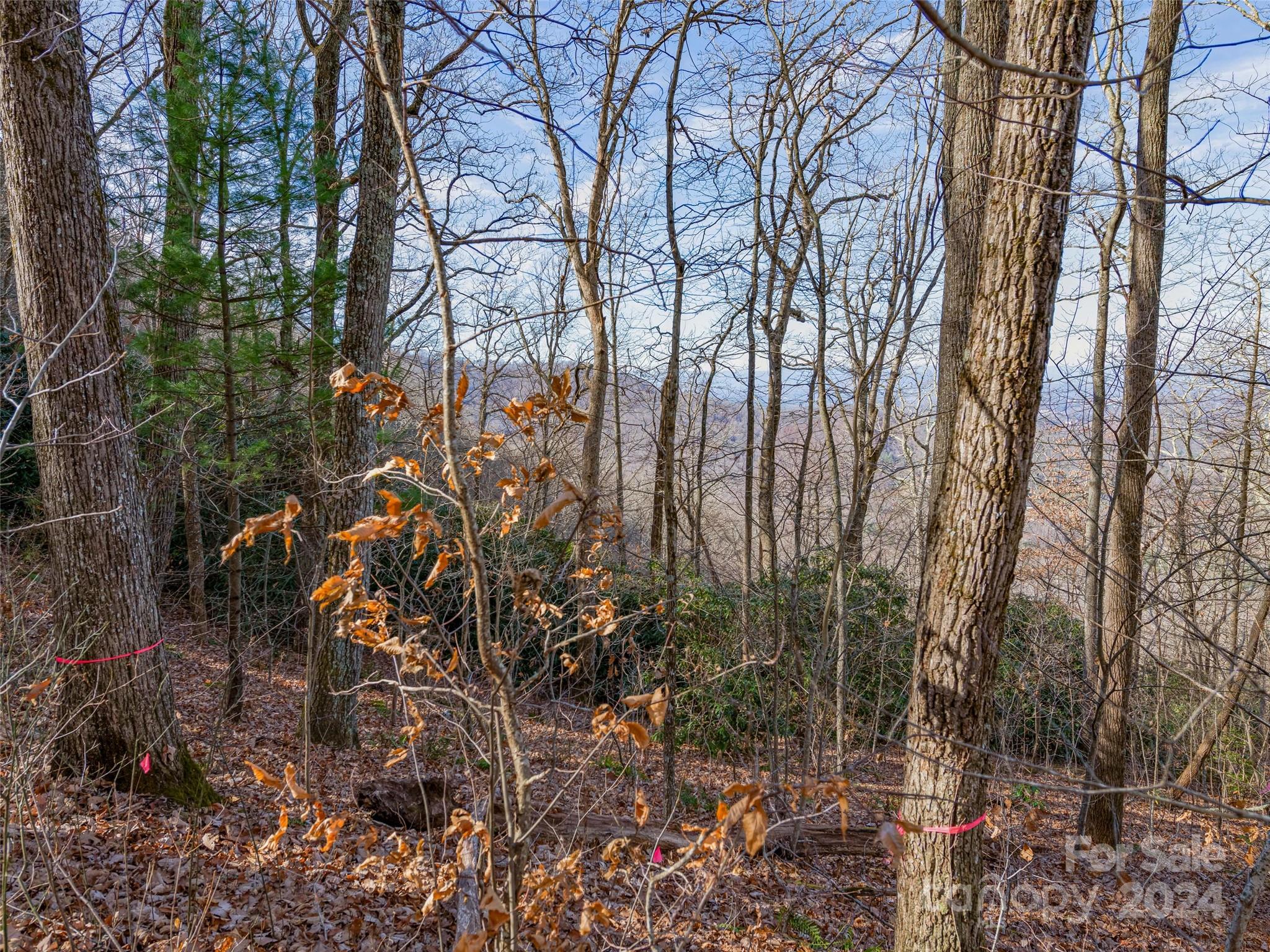 Ridgeview Estates - Land
