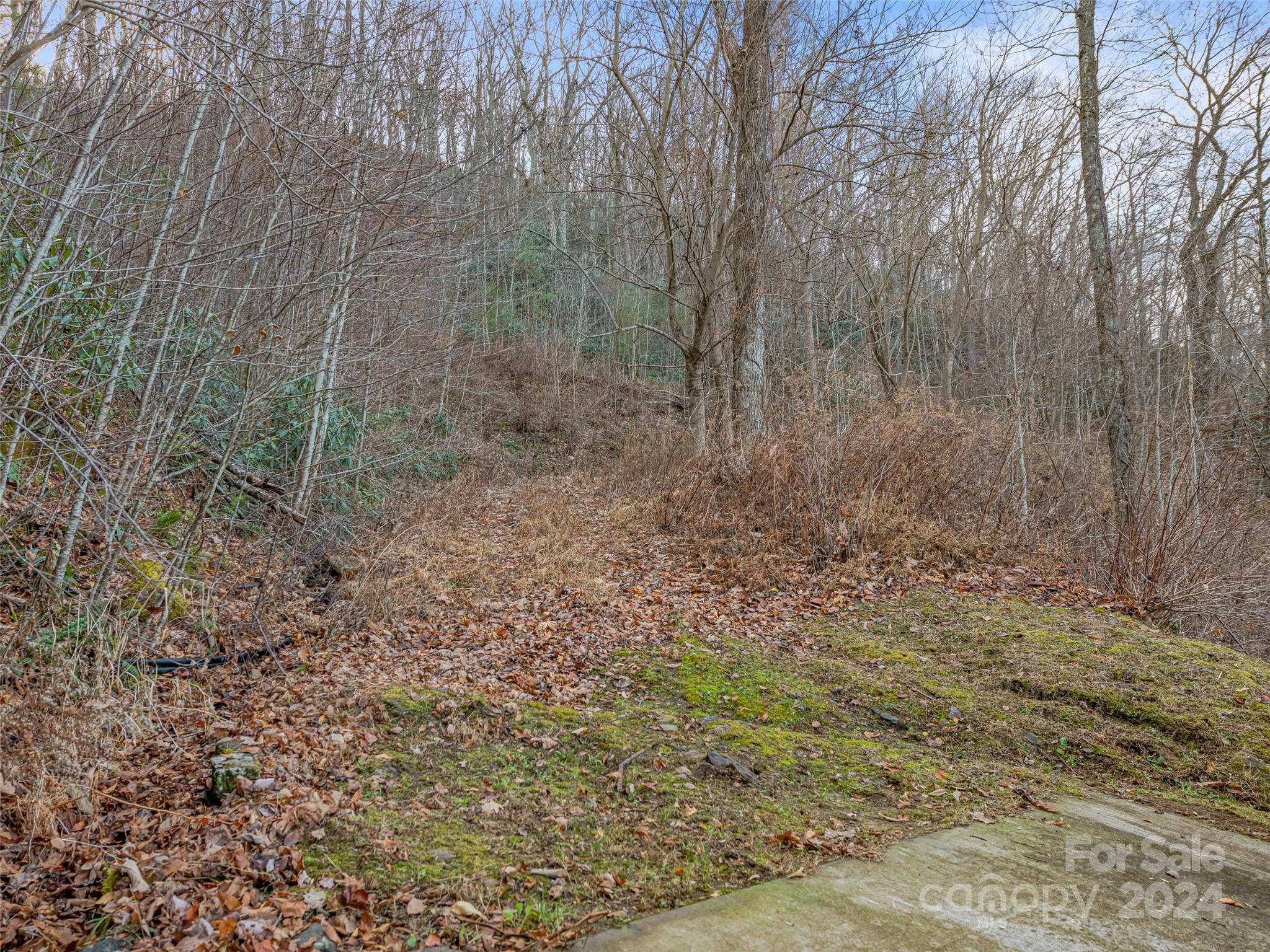 Ridgeview Estates - Land