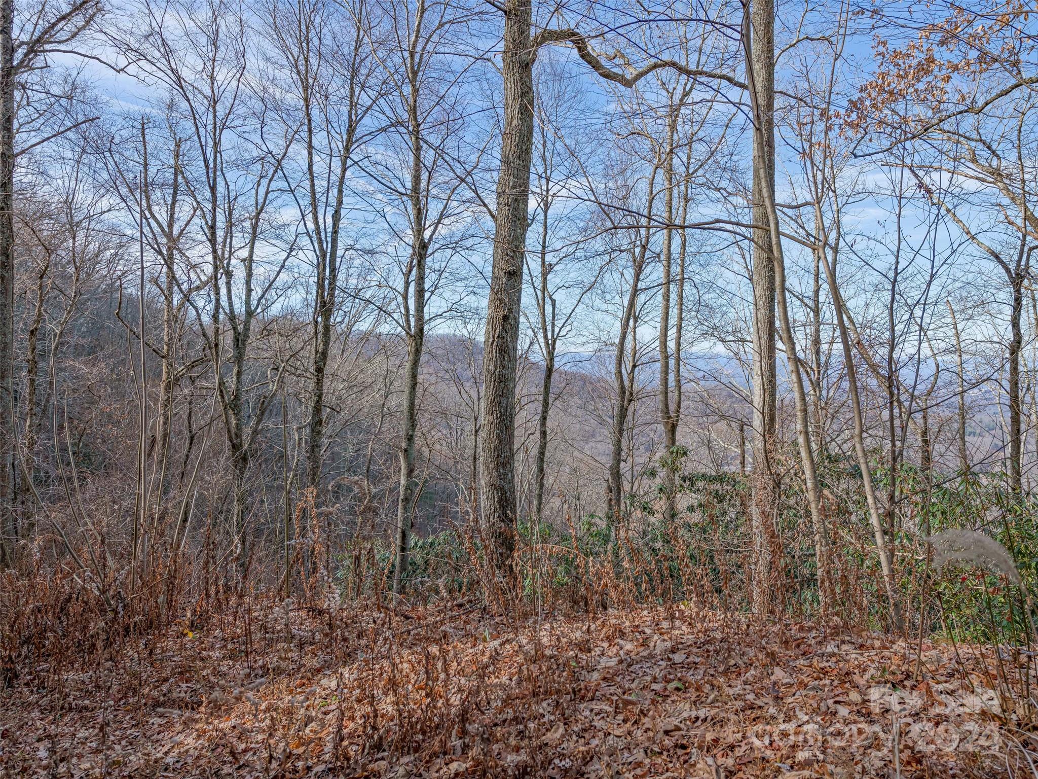 Ridgeview Estates - Land