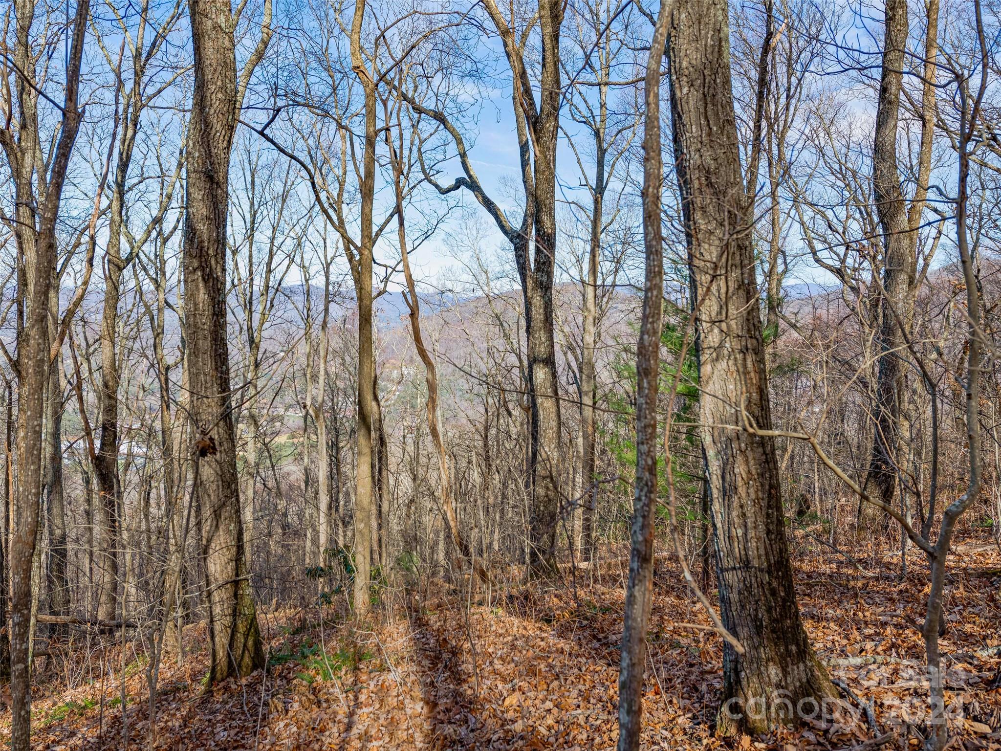 Ridgeview Estates - Land