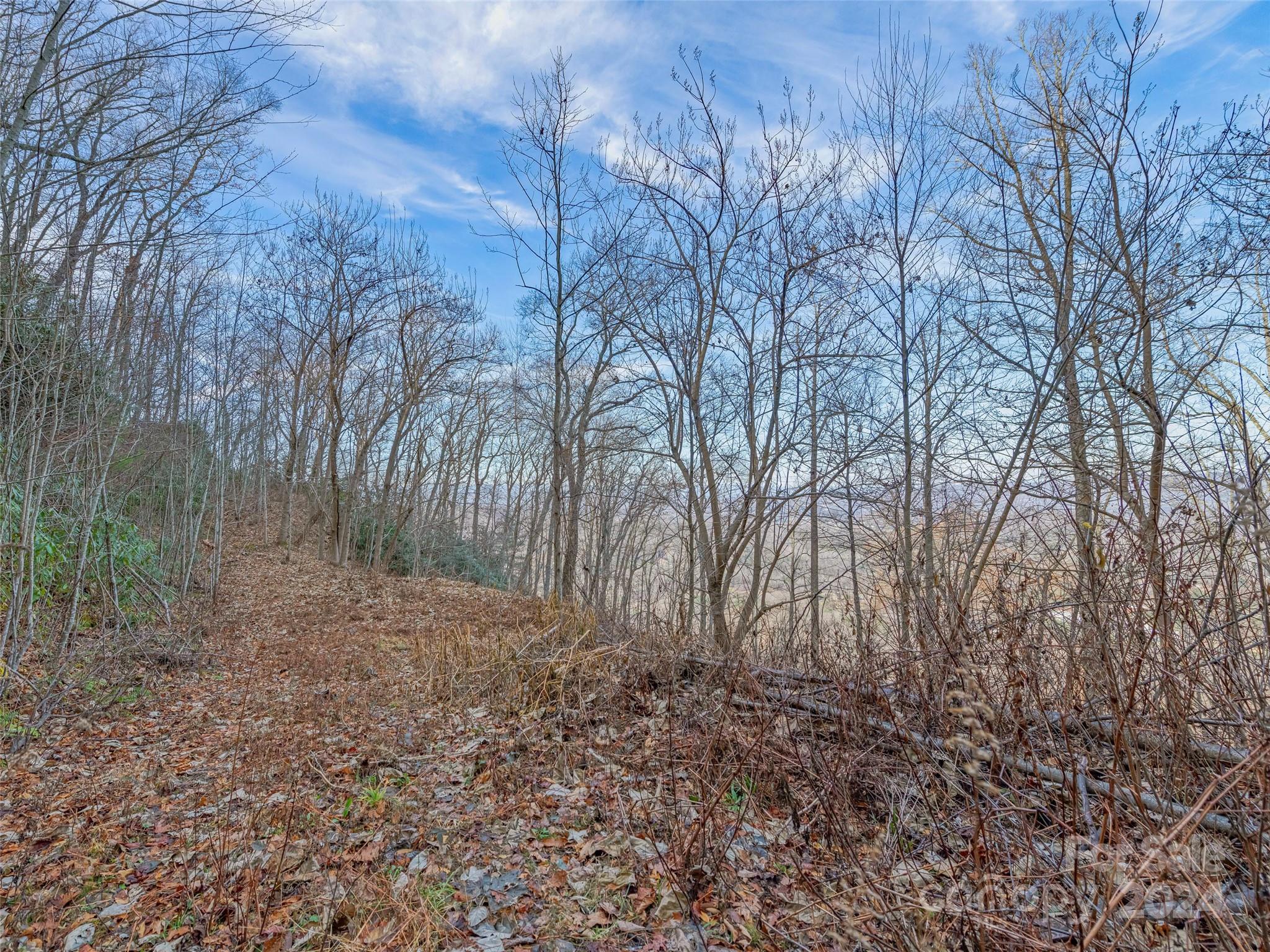 Ridgeview Estates - Land
