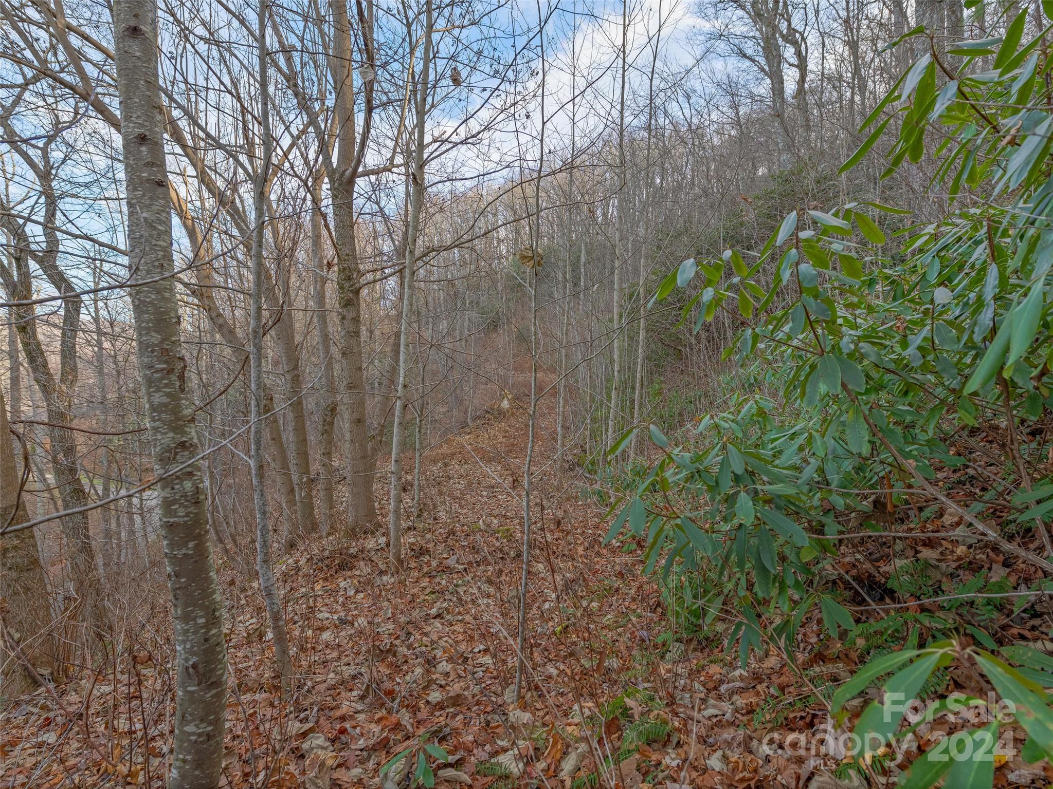 Ridgeview Estates - Land