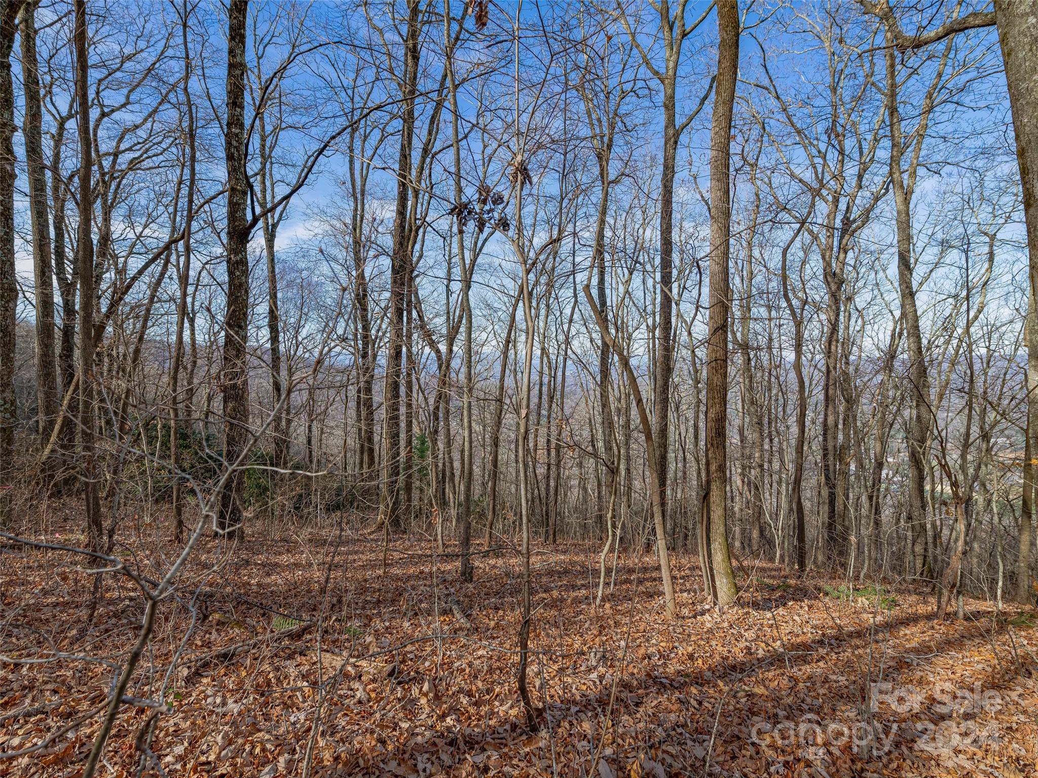 Ridgeview Estates - Land