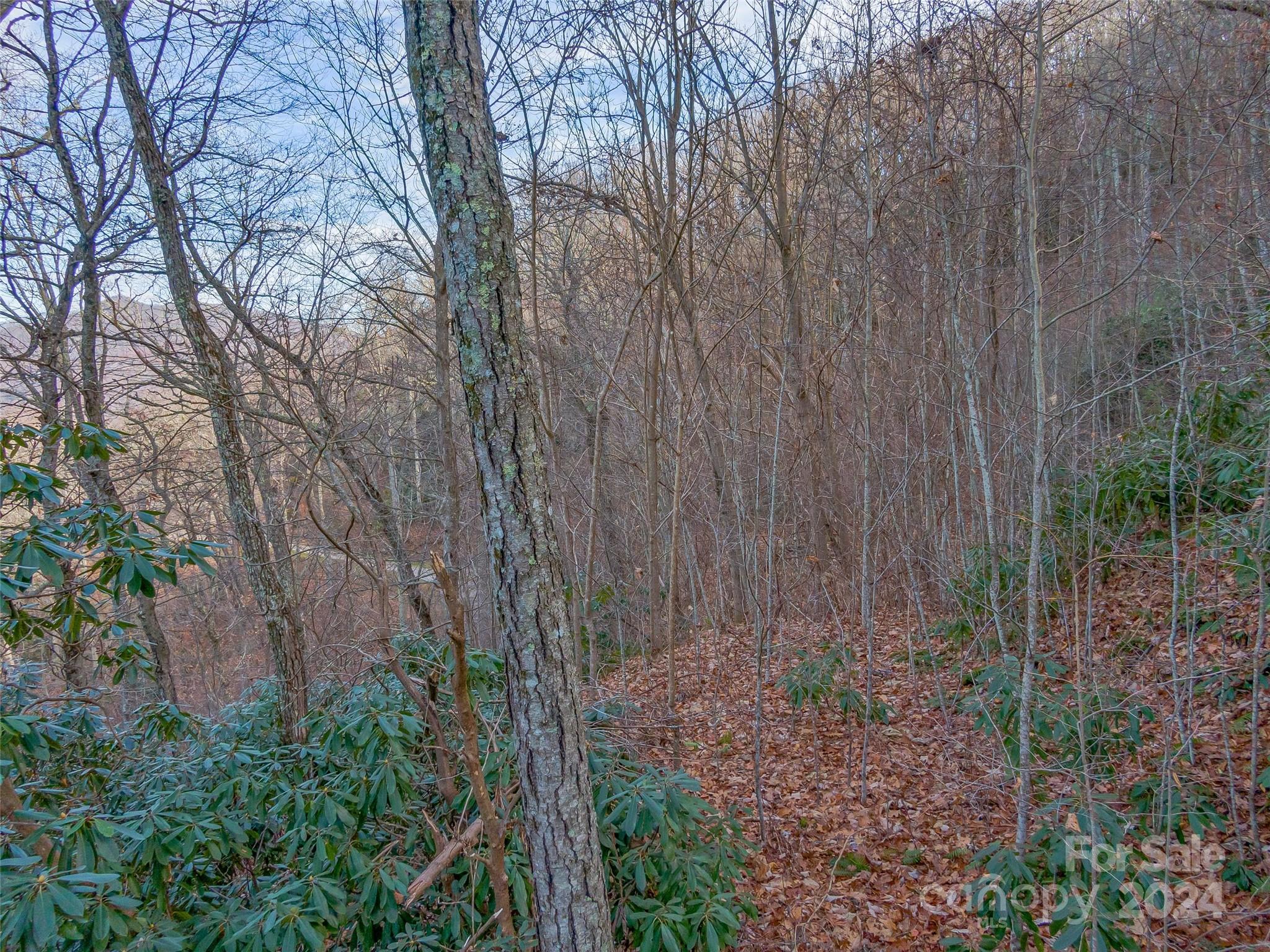 Ridgeview Estates - Land