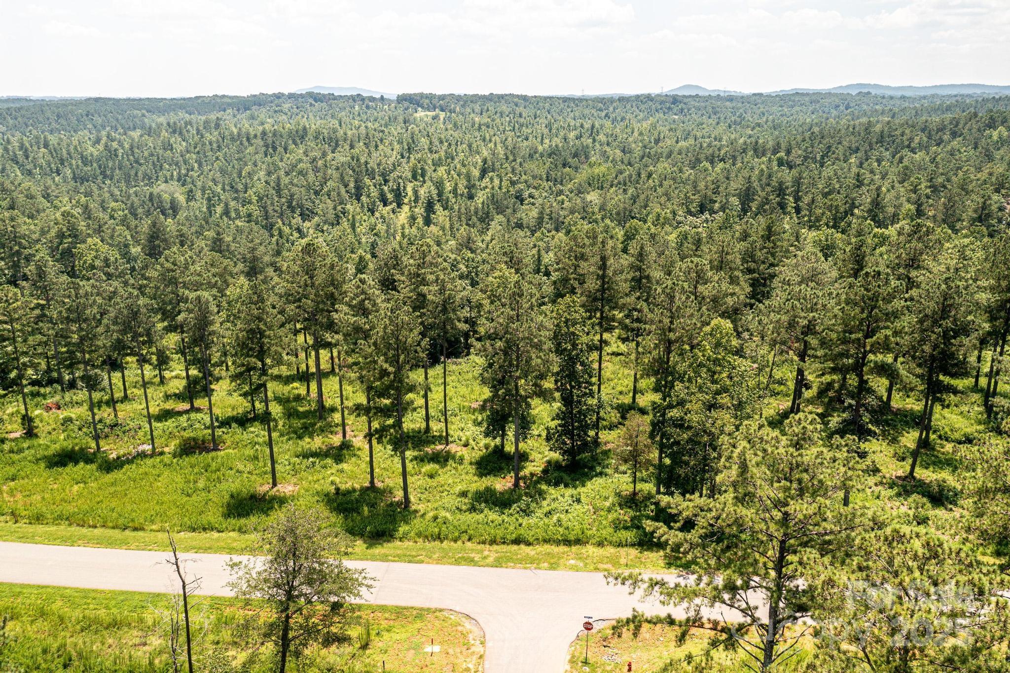 Lakeside Reserve - Land