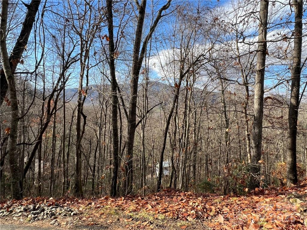 Springdale Estates - Land