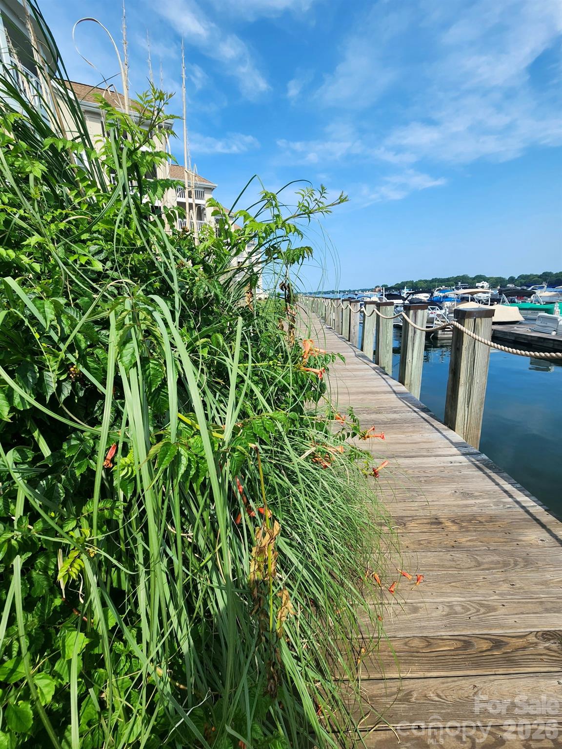 Bordeaux at Vineyard Point - Residential