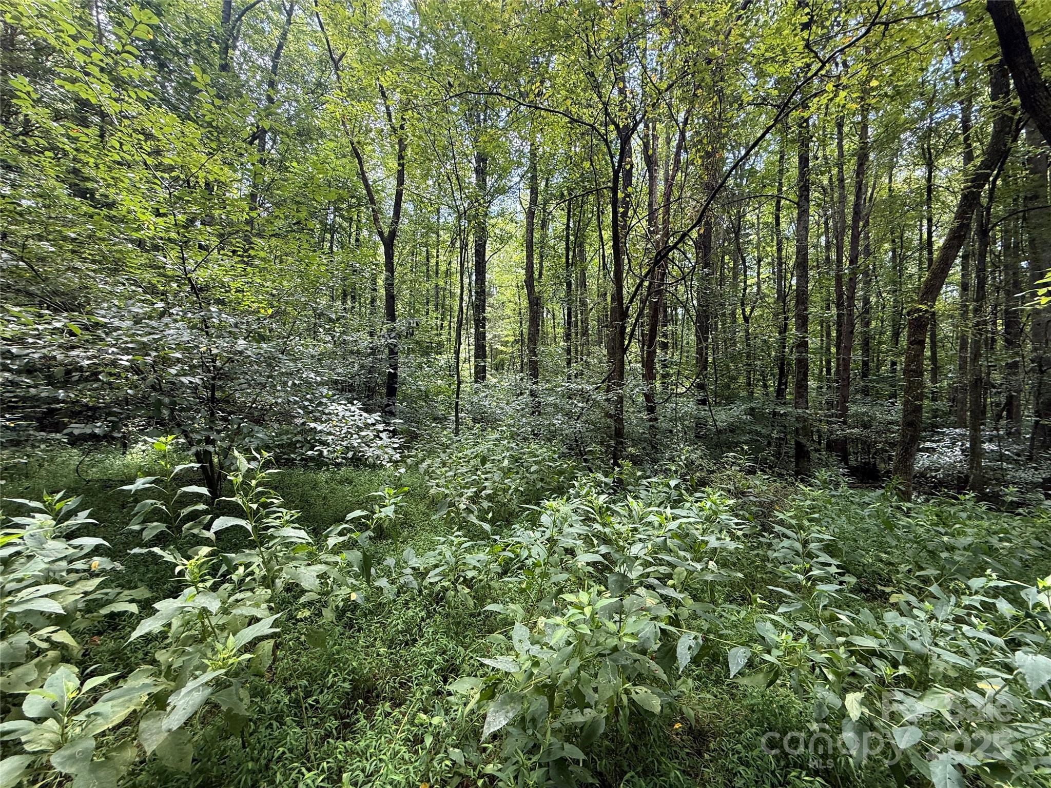 14.57 acres + or - with mature hardwoods in a very secluded setting, situated in a highly sought after area. Great building site, lots of room for four wheelers and hunting. Enjoy nature at the  finest level. Property is on the left side of New Salem Drive ( See Sign)  Address ( 14.57 ) is a reflection of the acreage property is across the road from 258 New Salem Drive See sign.
