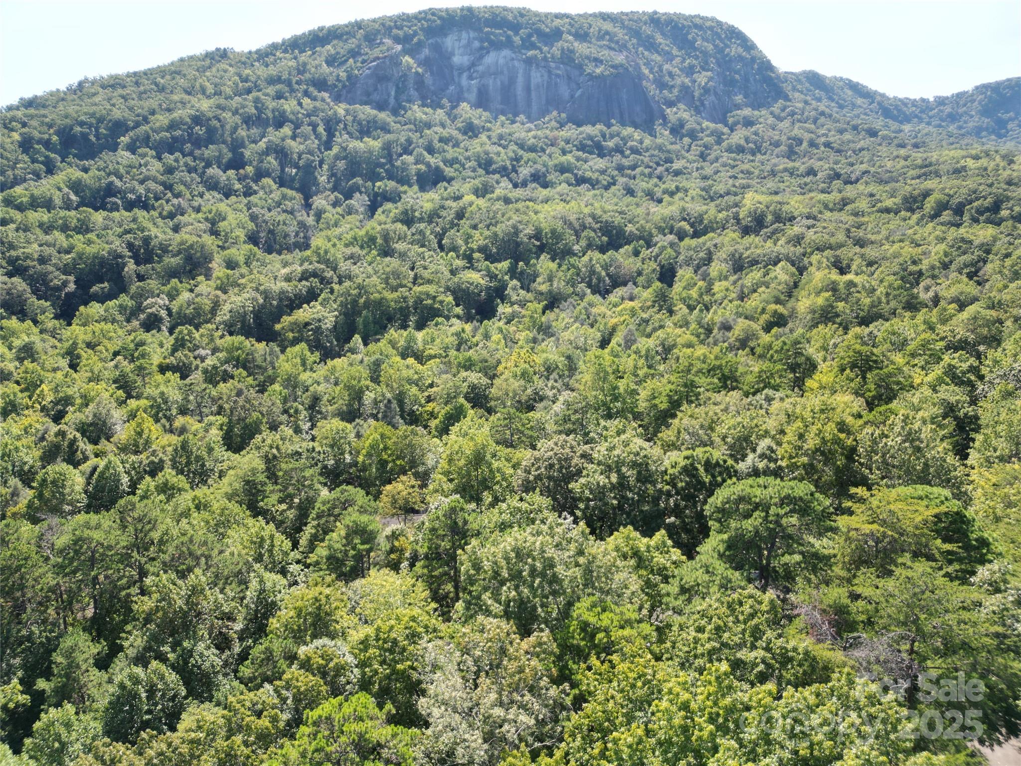 Rumbling Bald on Lake Lure - Land