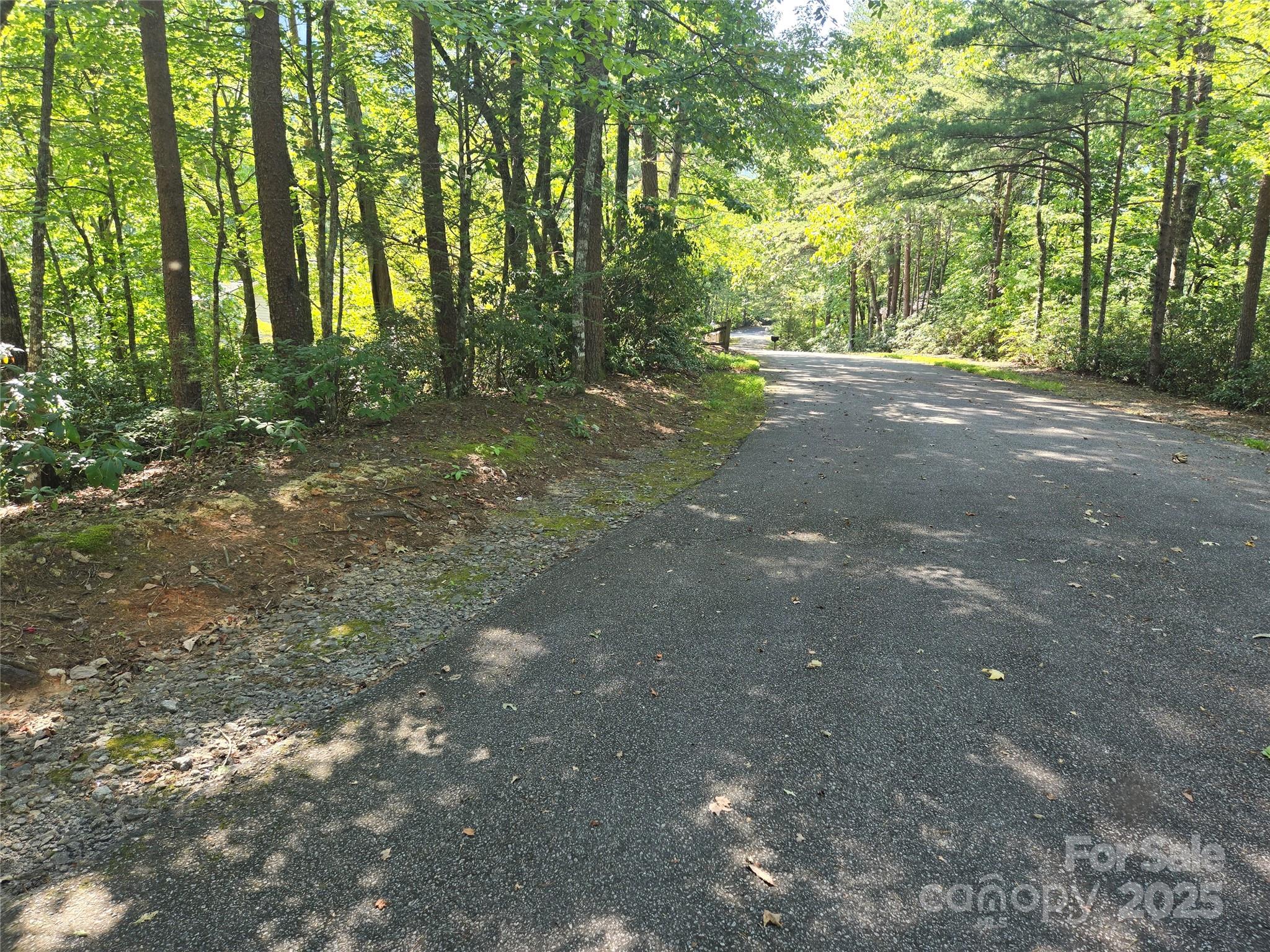 Rumbling Bald on Lake Lure - Land