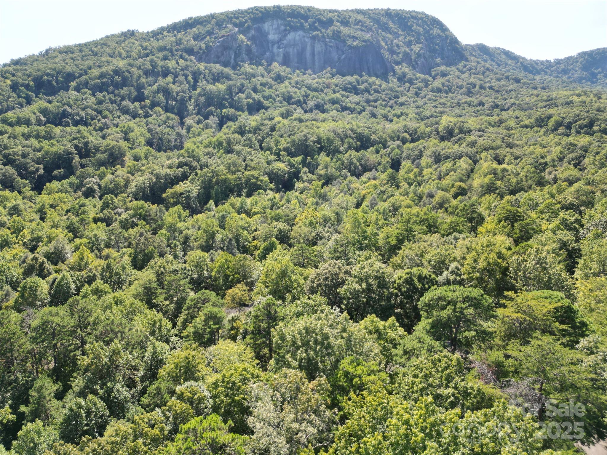 Rumbling Bald on Lake Lure - Land
