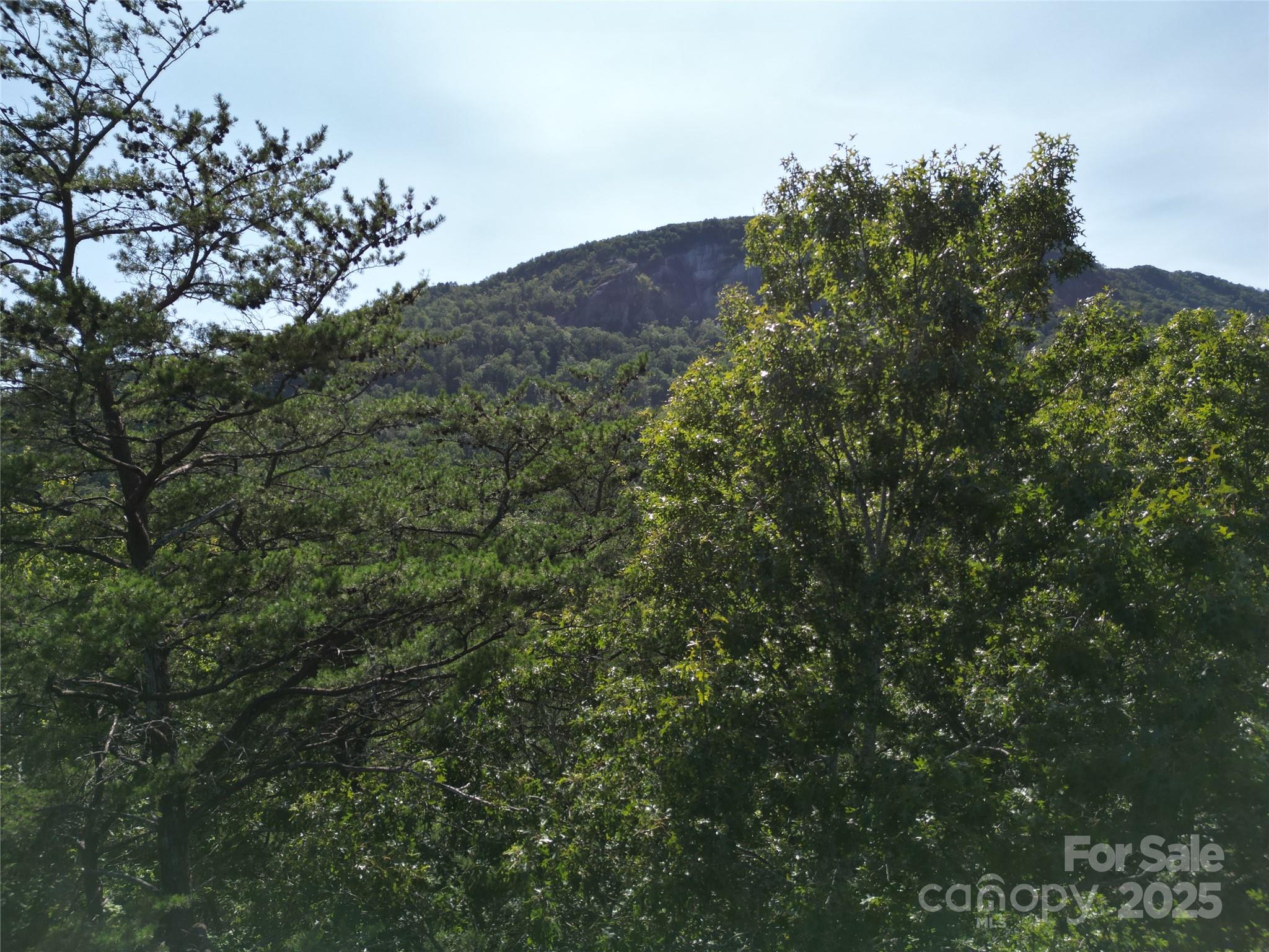 Rumbling Bald on Lake Lure - Land