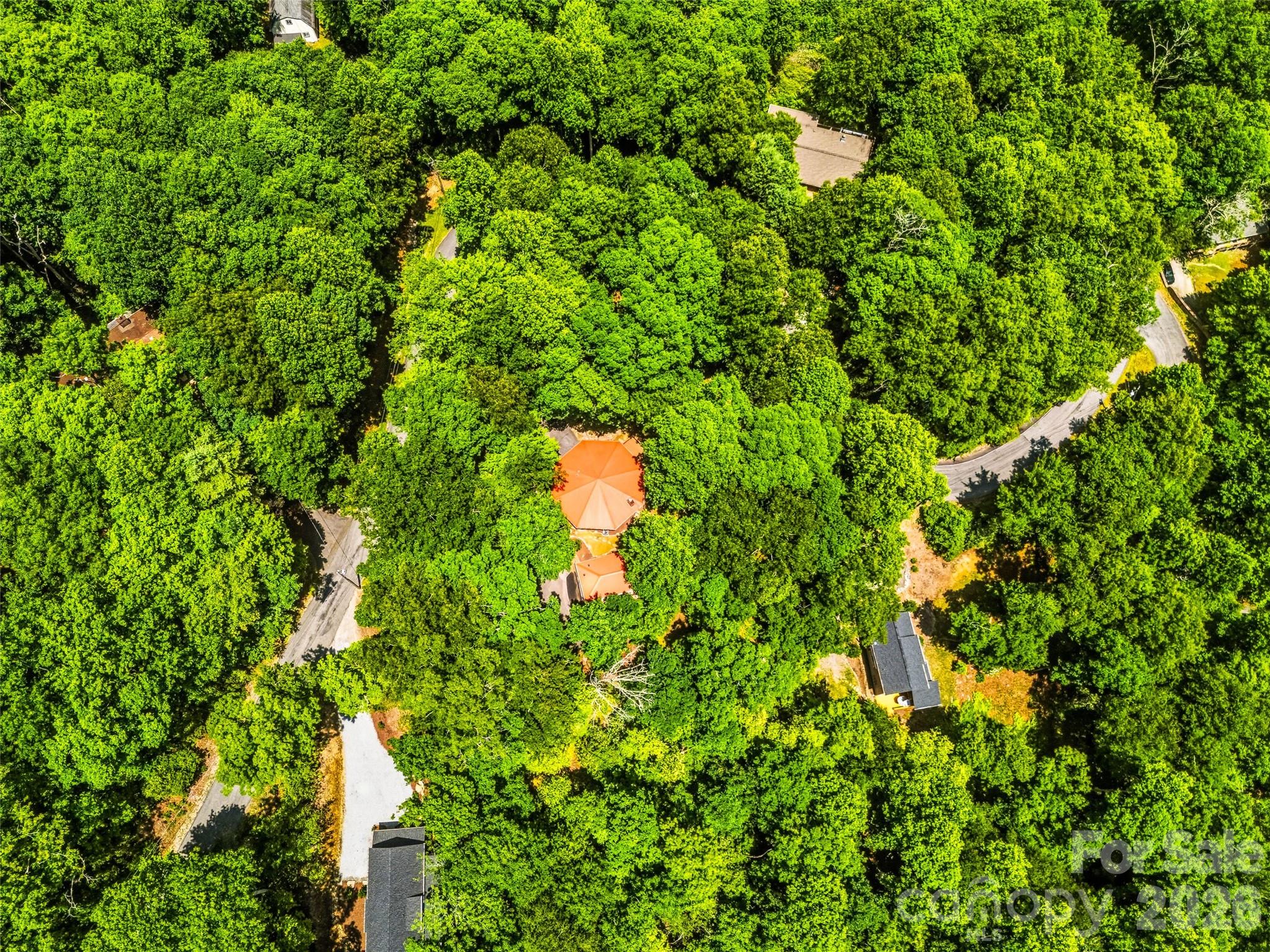 Pisgah Forest Farms - Residential