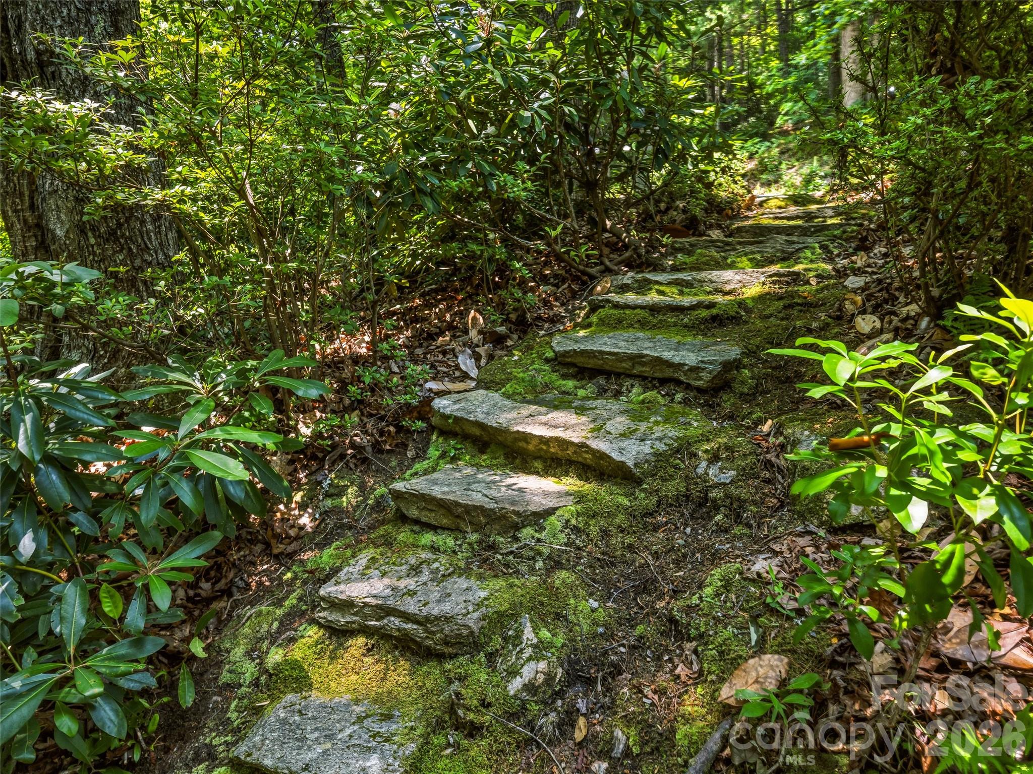 Pisgah Forest Farms - Residential