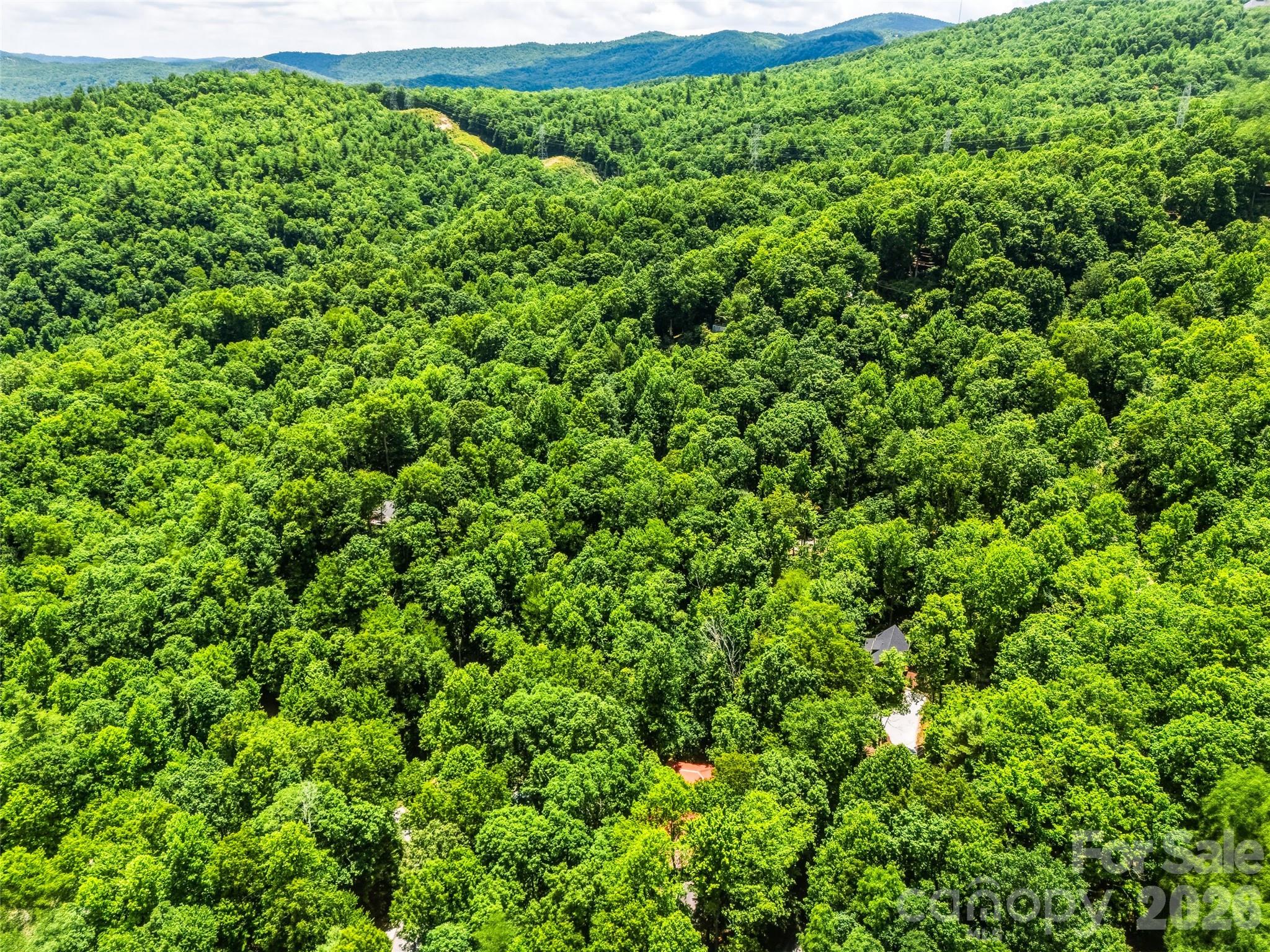 Pisgah Forest Farms - Residential