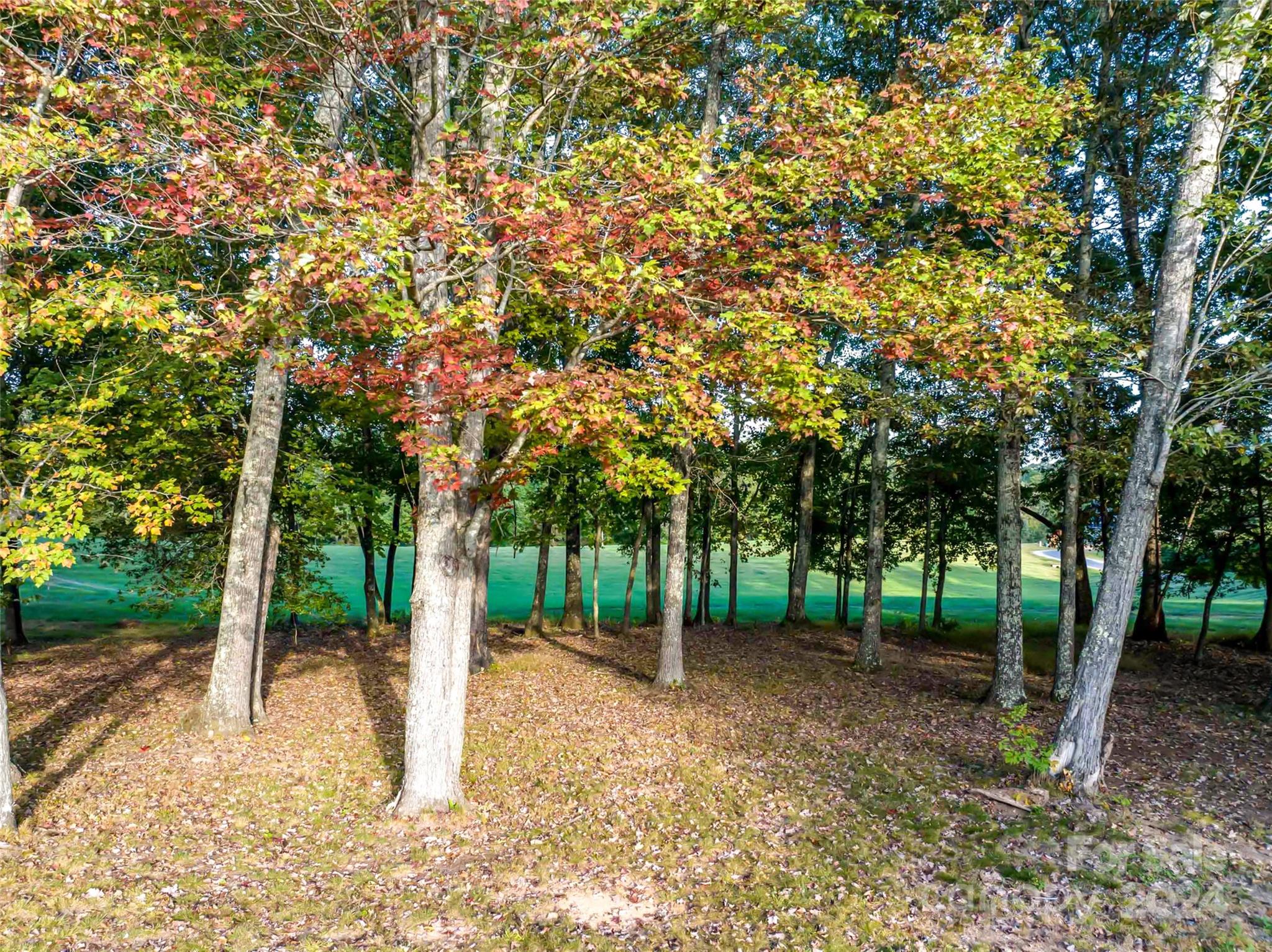 The Farm At Cane Creek - Land