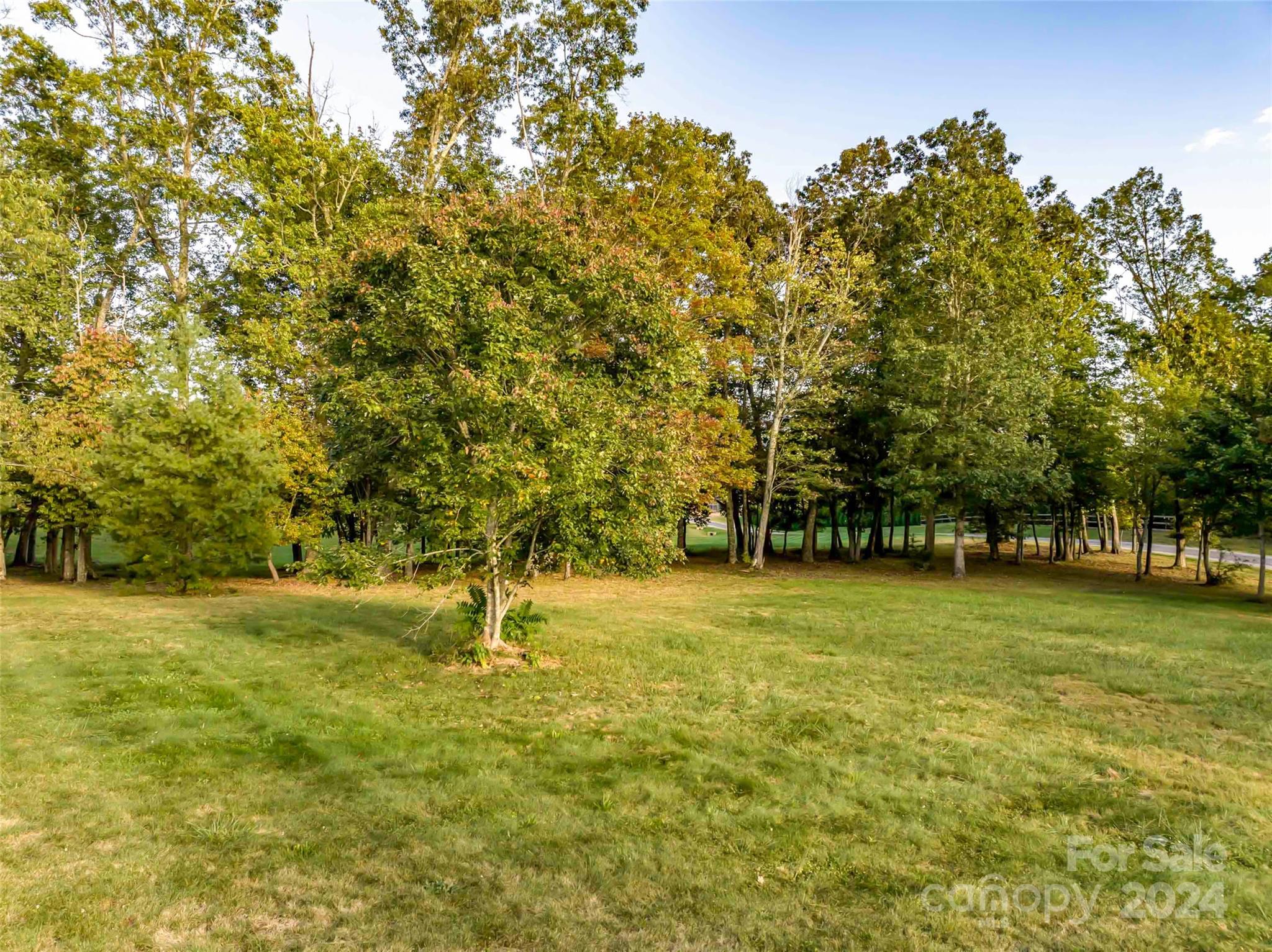 The Farm At Cane Creek - Land