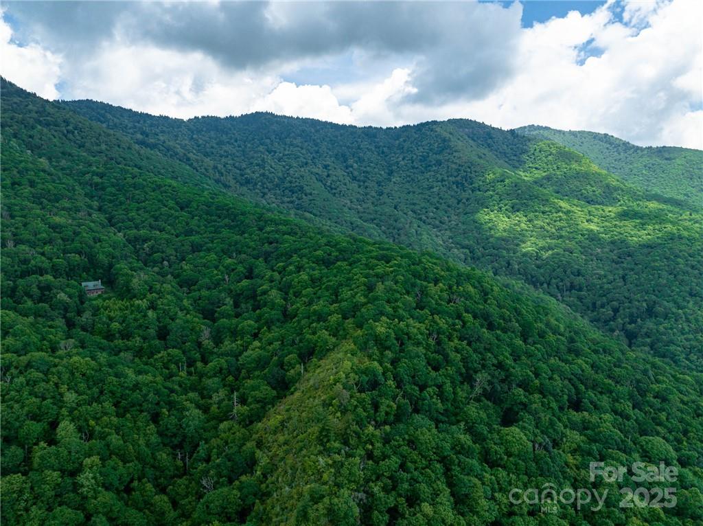 Sylva Vista Development - Land