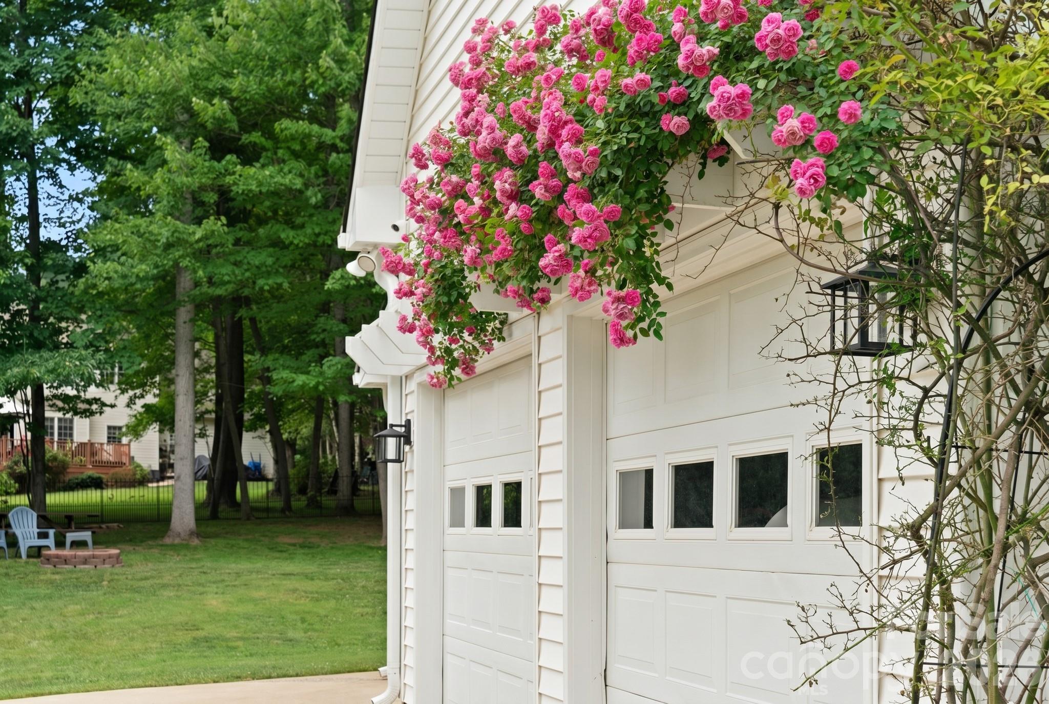 Windsor Forest - Residential