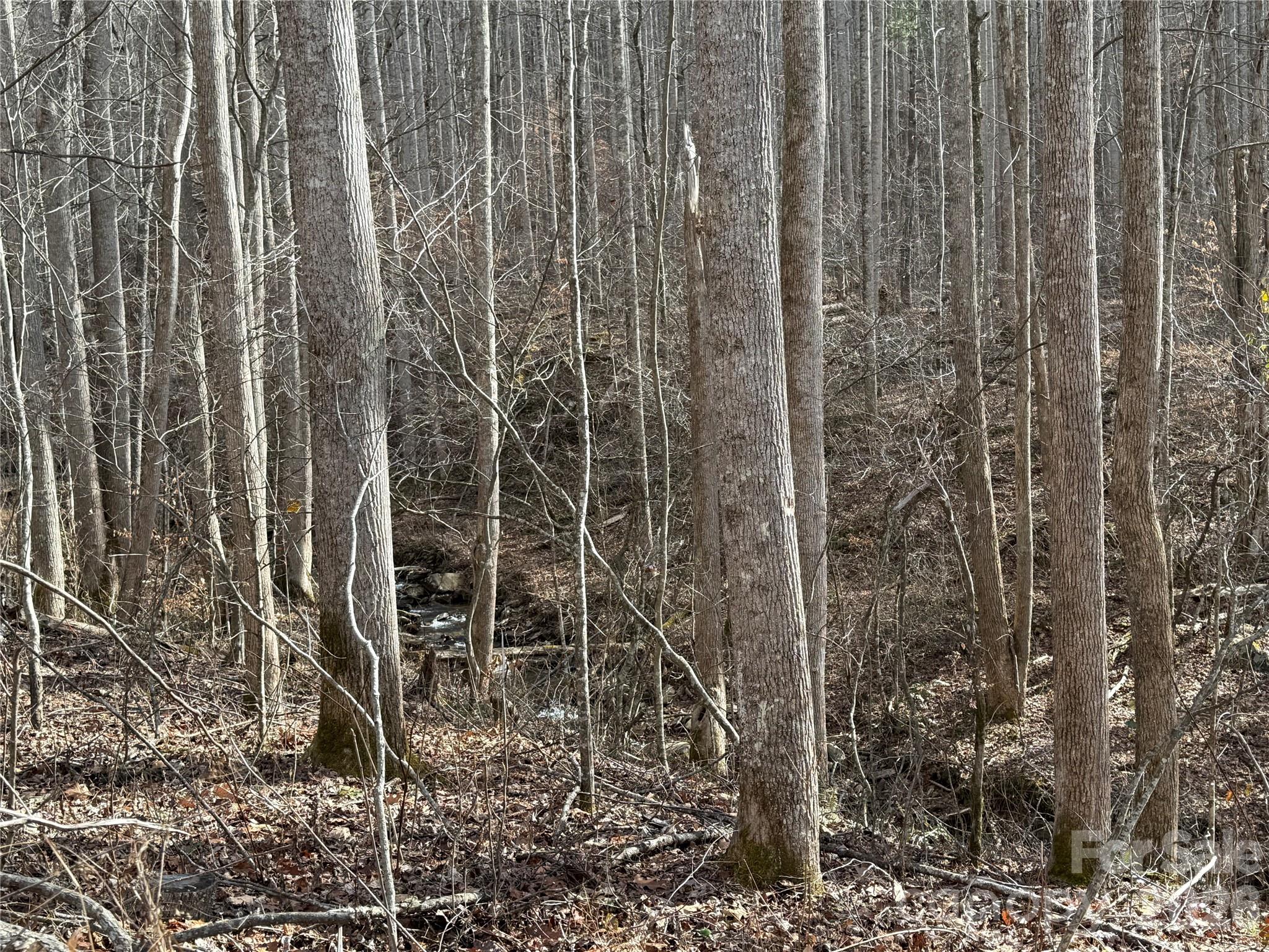 Private mountain acreage in Barnardsville with OU (Open Use) zoning and incredible potential. This peaceful, wooded parcel offers a true blank canvas — no road has been cut in yet, giving you the flexibility to design access and position your homesite exactly where you want to maximize privacy, views, and usability. Nice stream at the front of the property. Whether you're envisioning a private estate, mountain homestead, getaway cabin, or long-term investment, this property offers the freedom to bring your vision to life. Enjoy the quiet beauty of Western North Carolina while remaining just a short drive to Asheville.