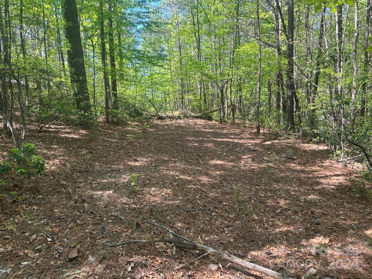 Beautiful, private and flat lot in Pisgah Preserve! This corner lot has multiple build sites on flat land. It is a rare find to have this in the Lake James mountain communities. Pisgah Preserve is a wonderful gated mountain view community, and has a wooded feel as you drive through. Nice paved roads and 10 minutes to Bear Creek Marina & Grill. STR's Are Allowed!