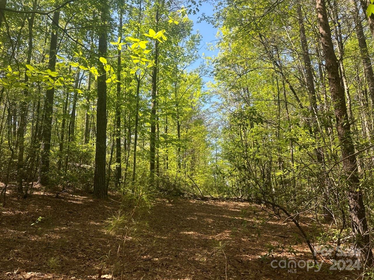 Pisgah Preserve - Land