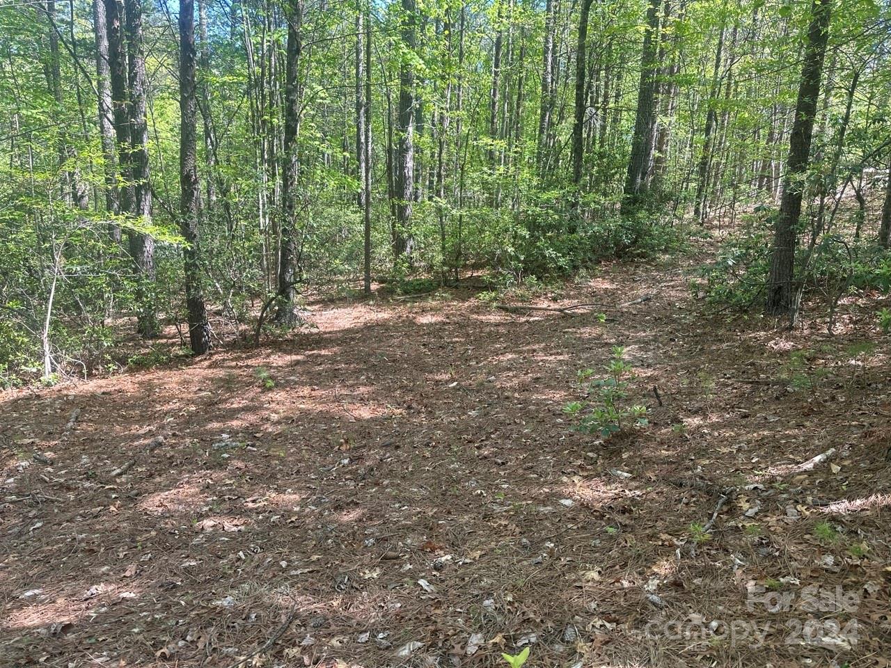 Pisgah Preserve - Land