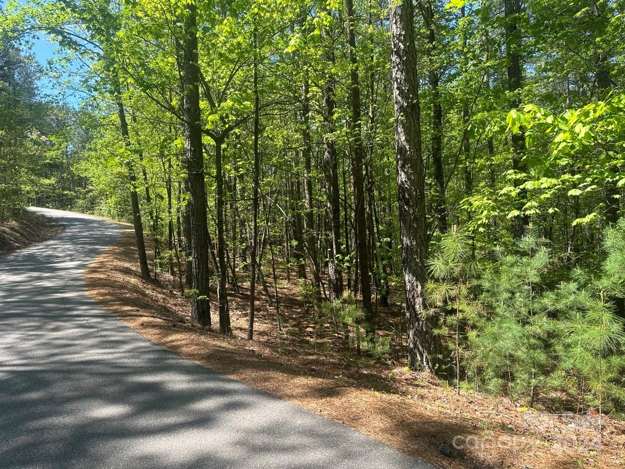 Pisgah Preserve - Land