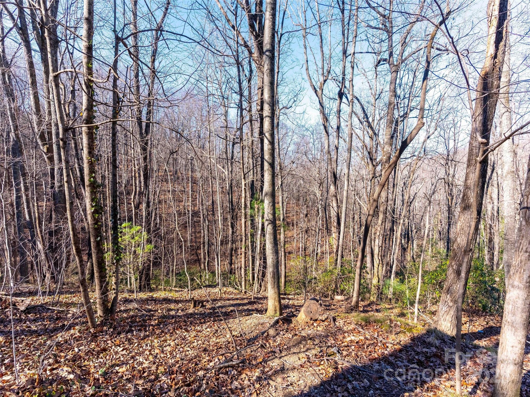 Mountain View - Land
