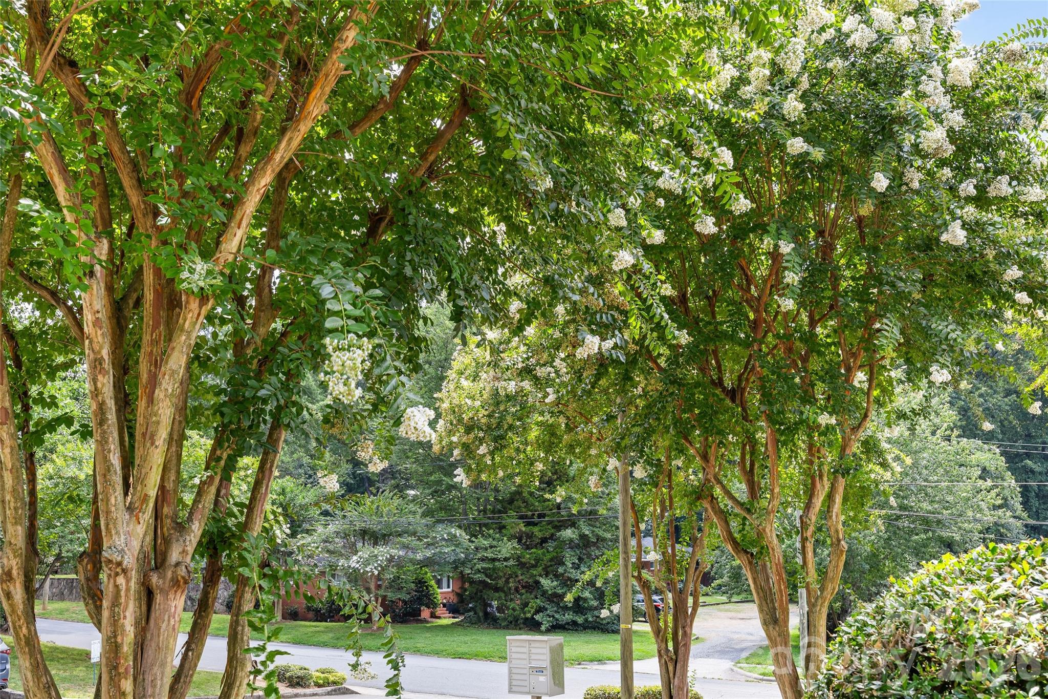 Midwood - Residential