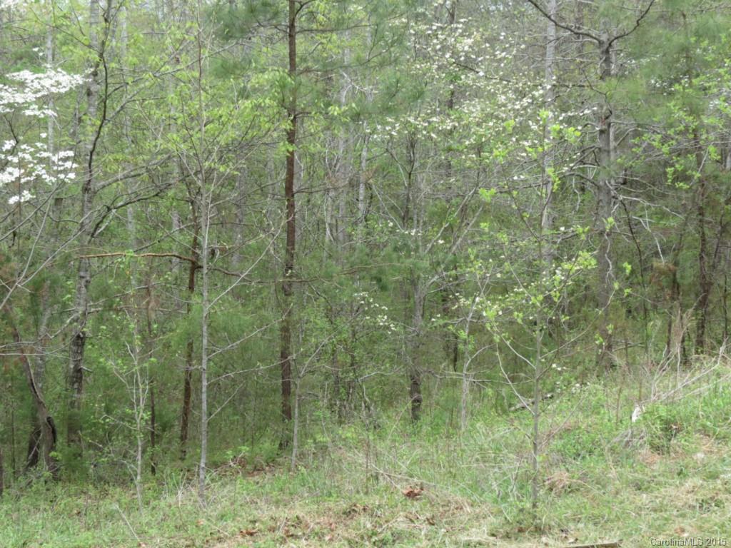 Twin Stream Estates - Land