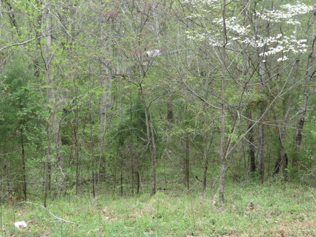 Twin Stream Estates - Land