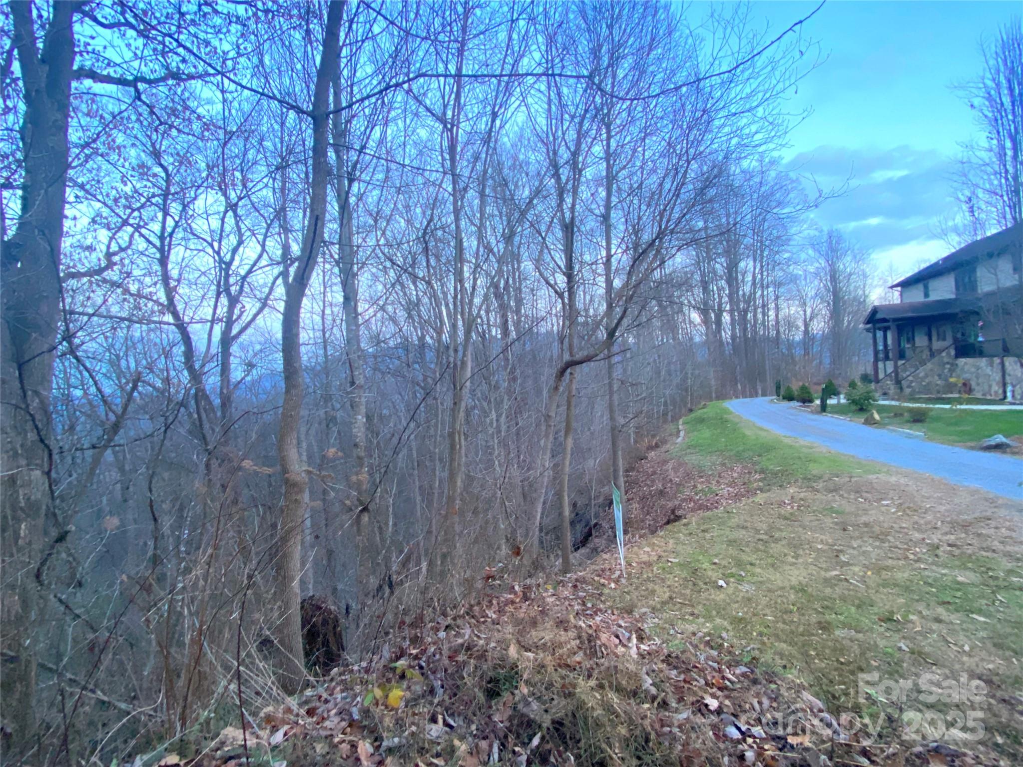 Cobblers Knob - Land