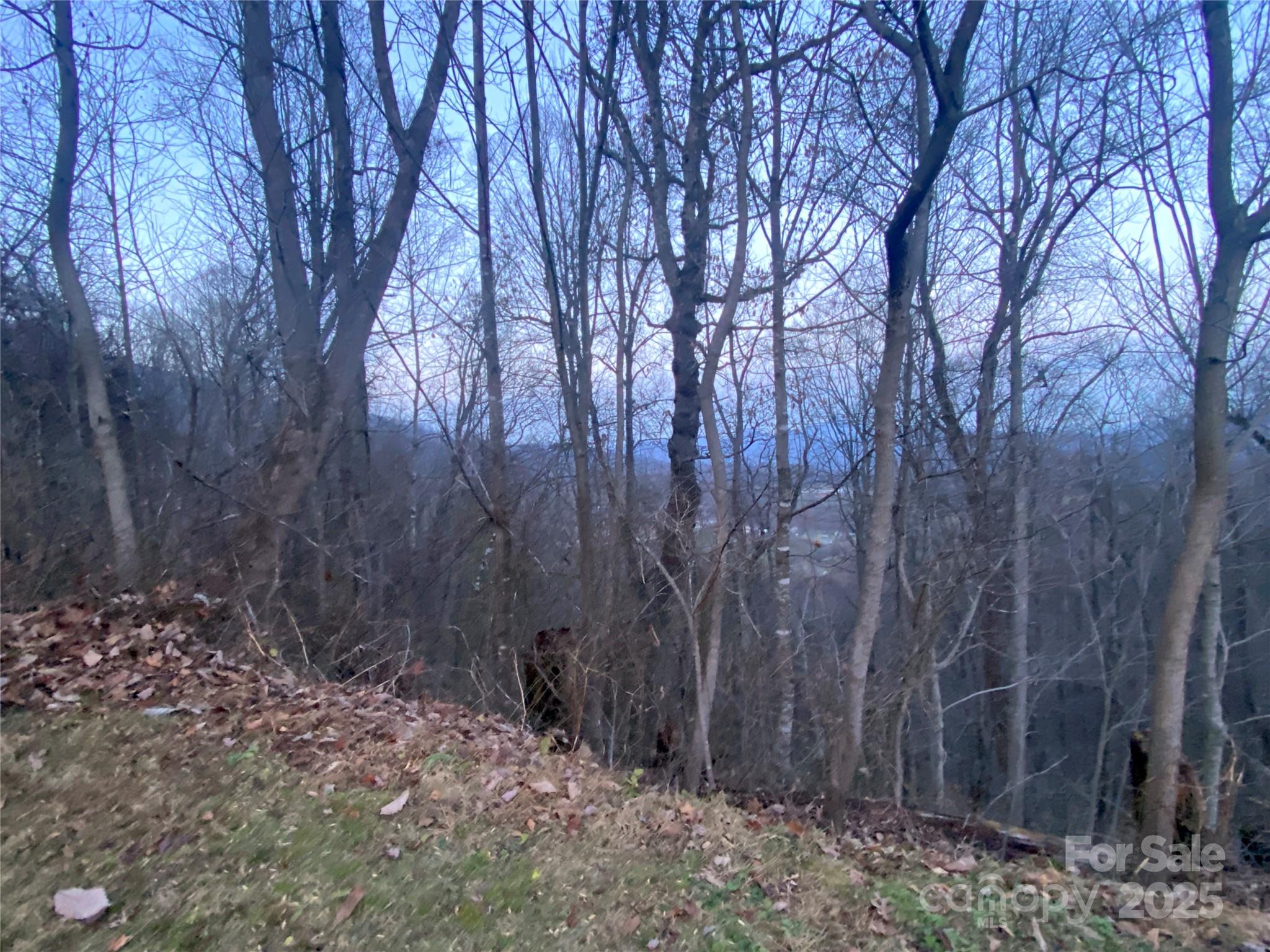Cobblers Knob - Land