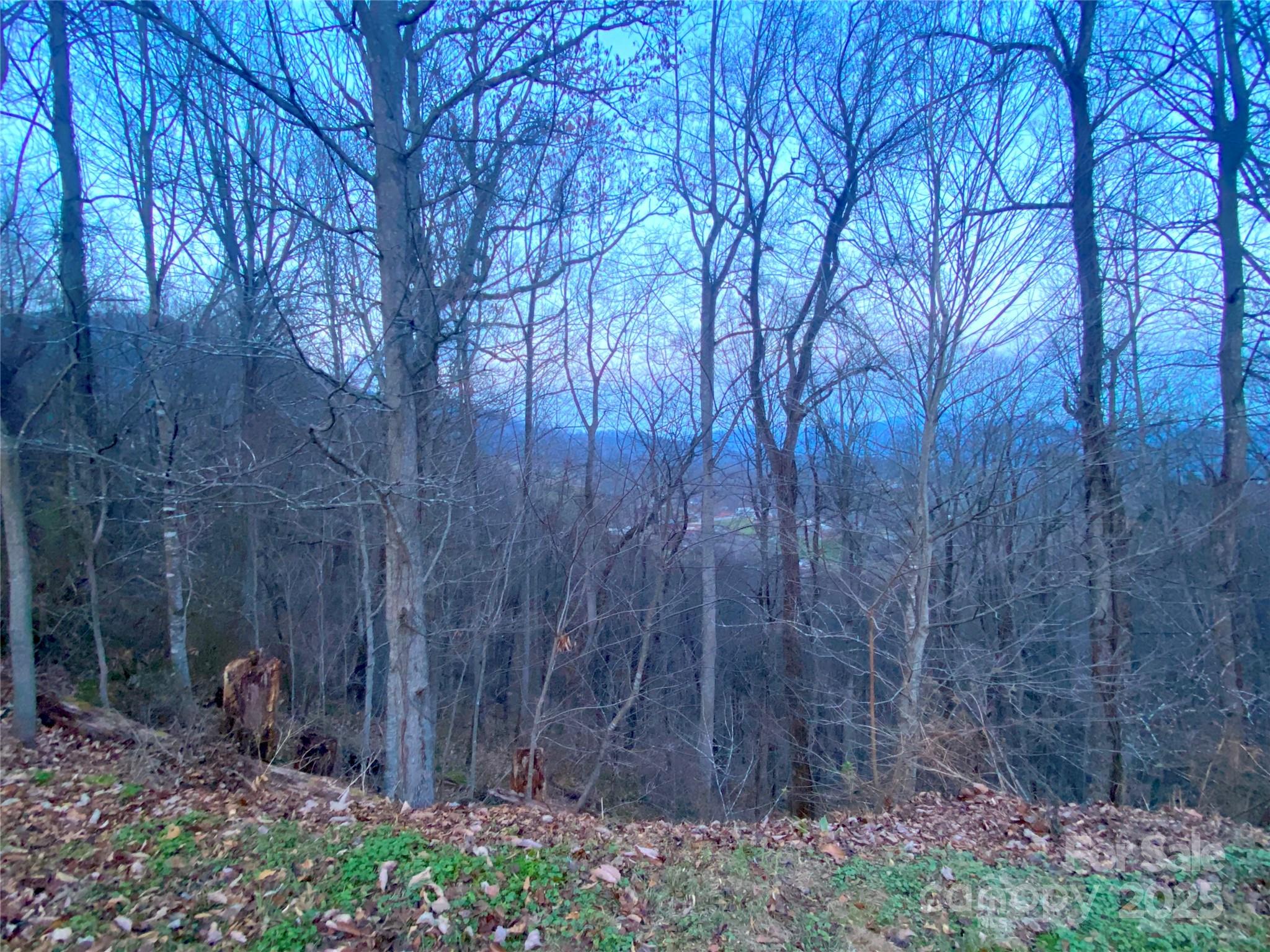 Cobblers Knob - Land