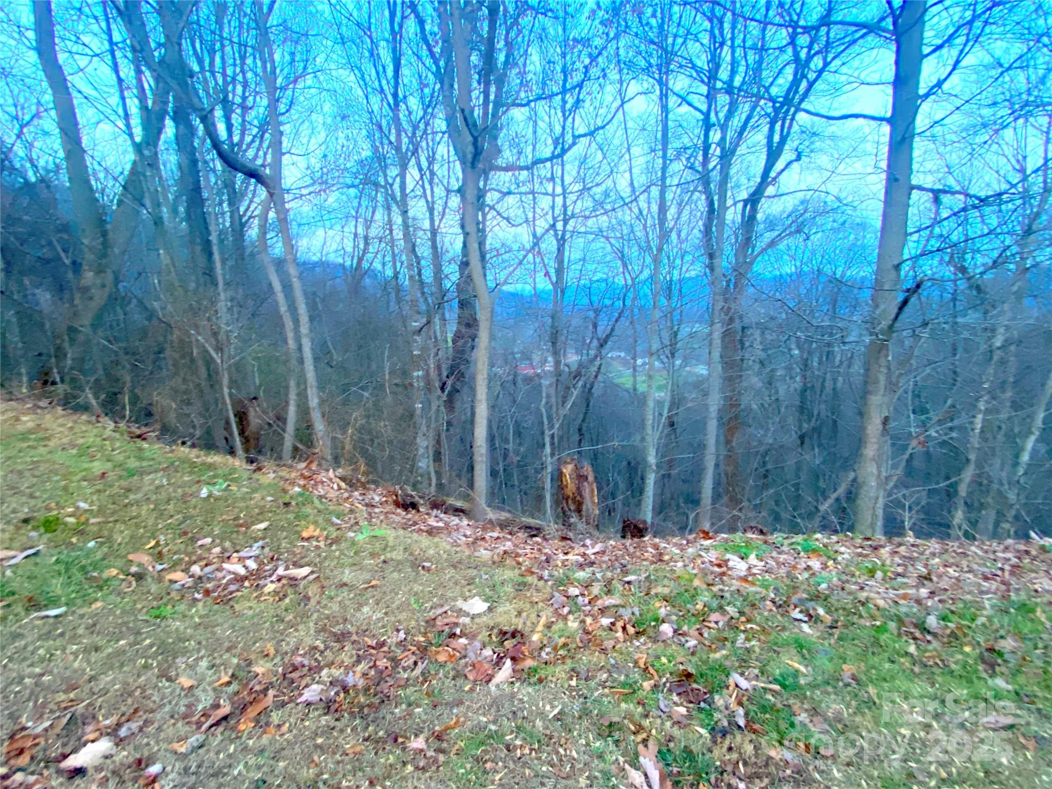 Cobblers Knob - Land
