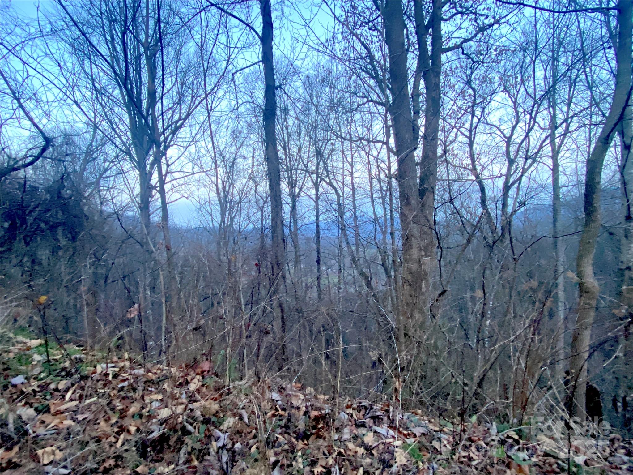 Cobblers Knob - Land