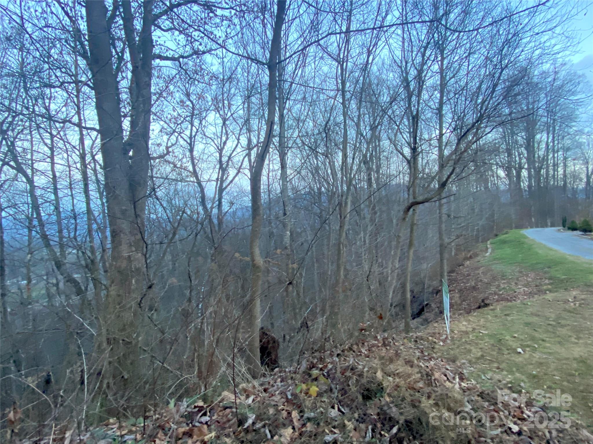 Cobblers Knob - Land