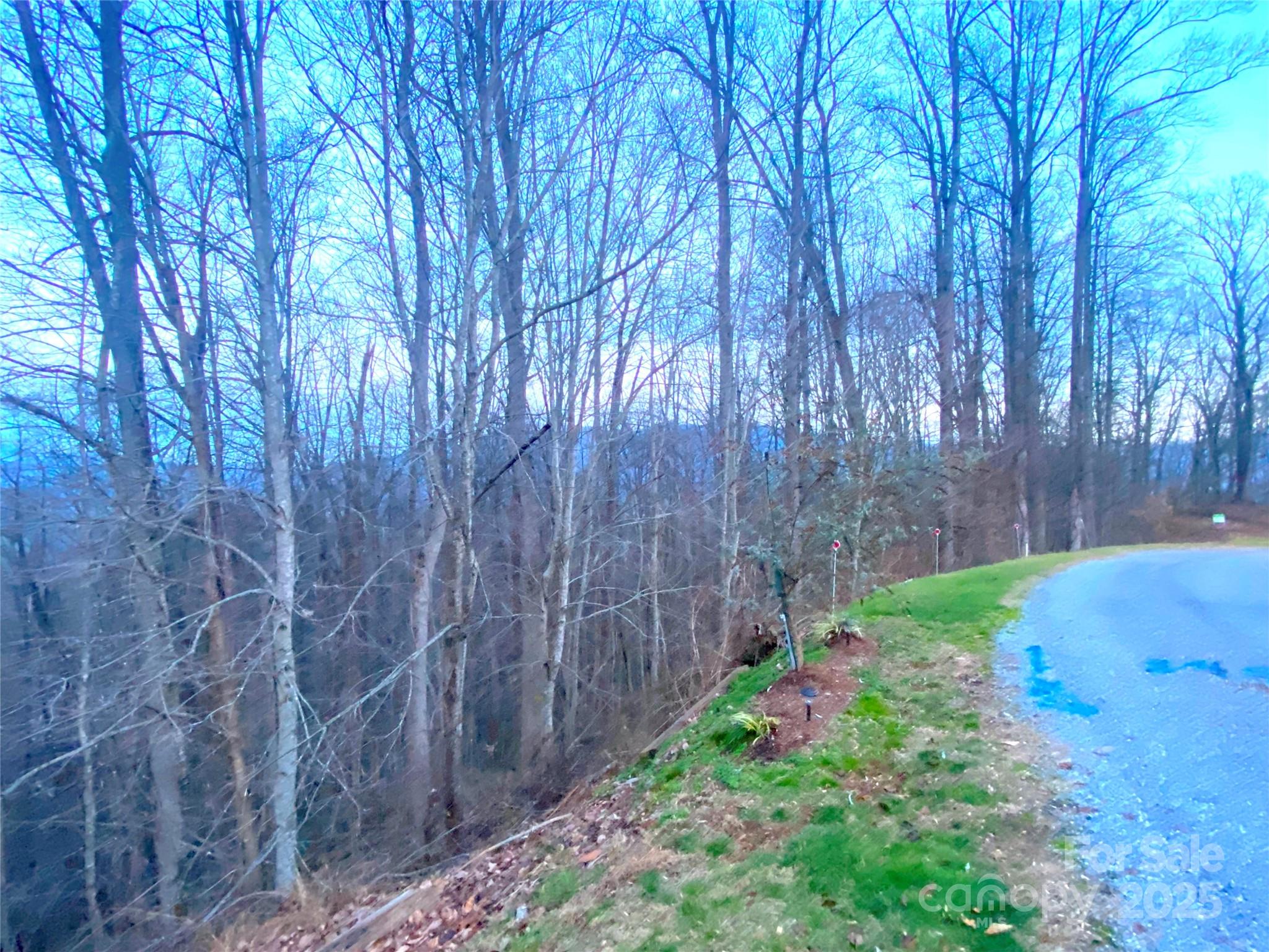 Cobblers Knob - Land