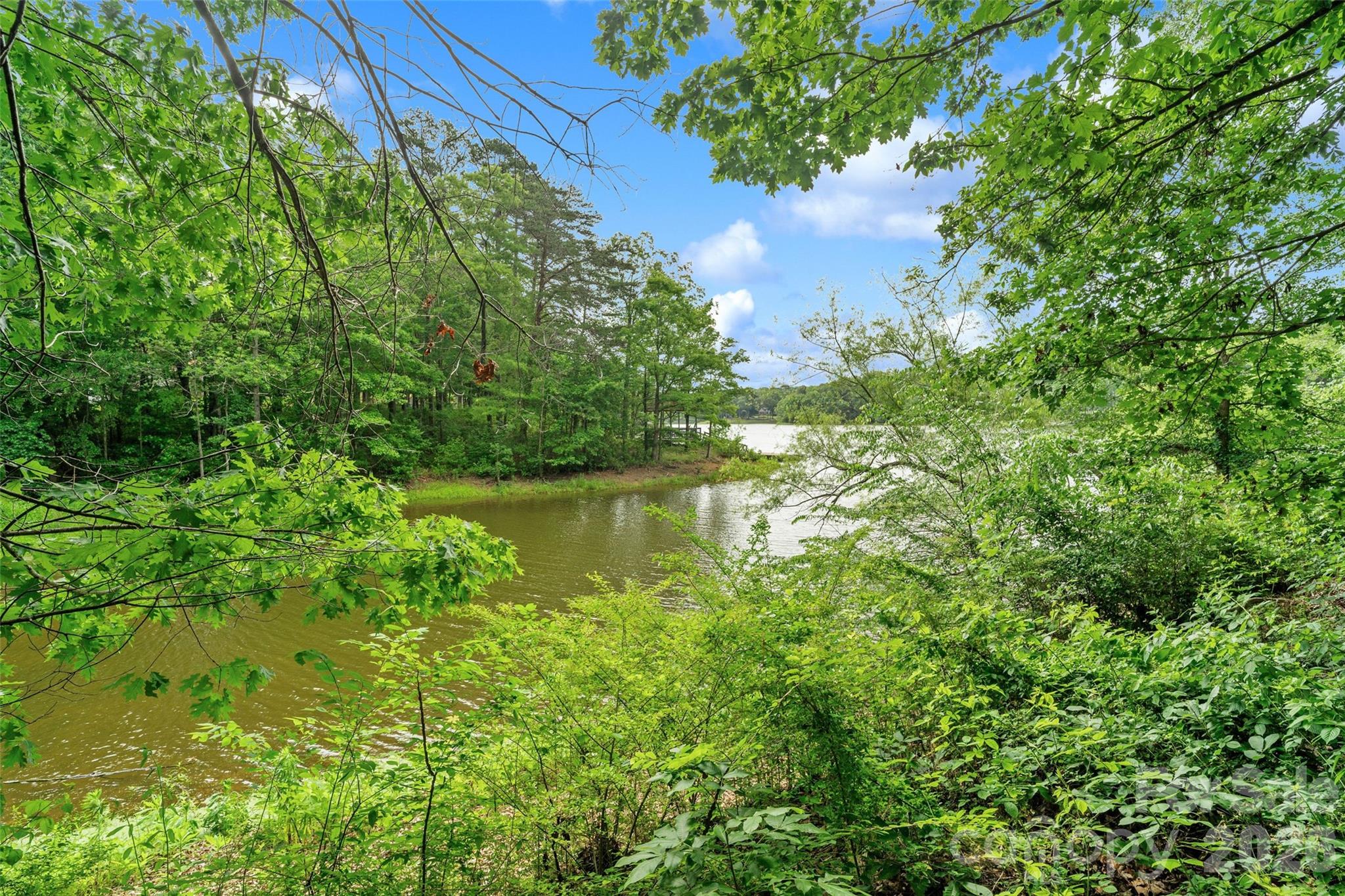 Village Lake - Residential