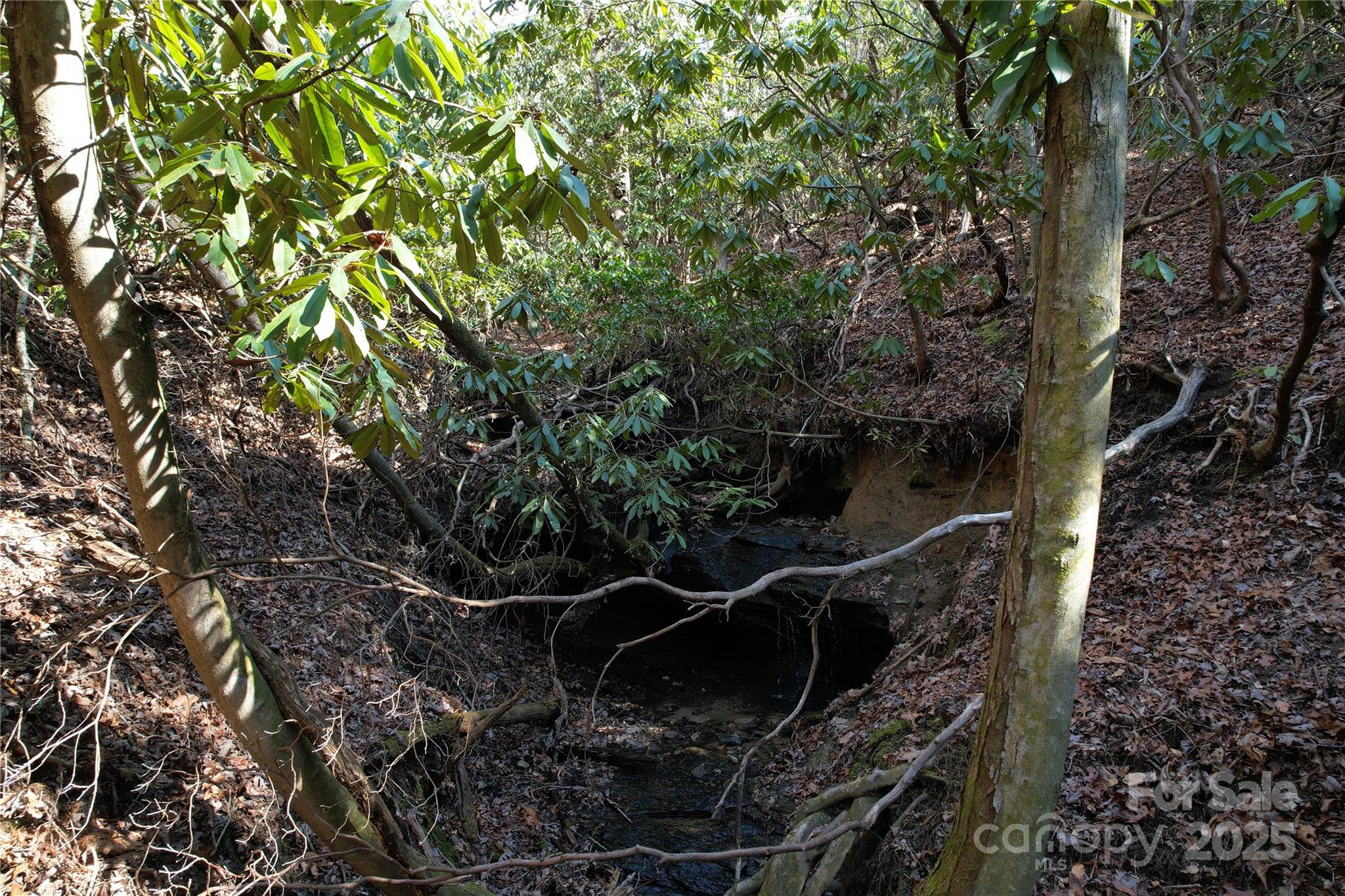 Whiskey Creek II - Land