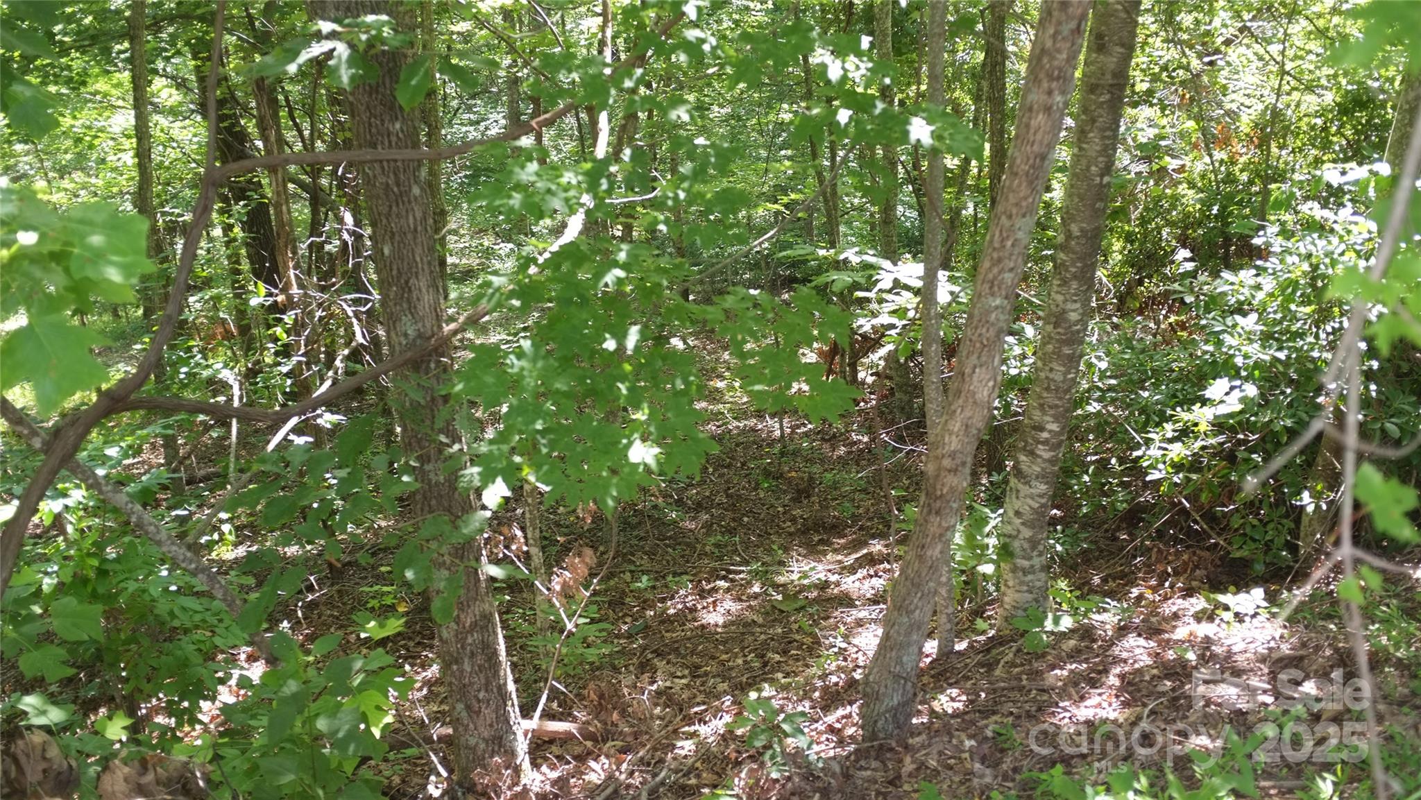 White Oak Mountain - Land