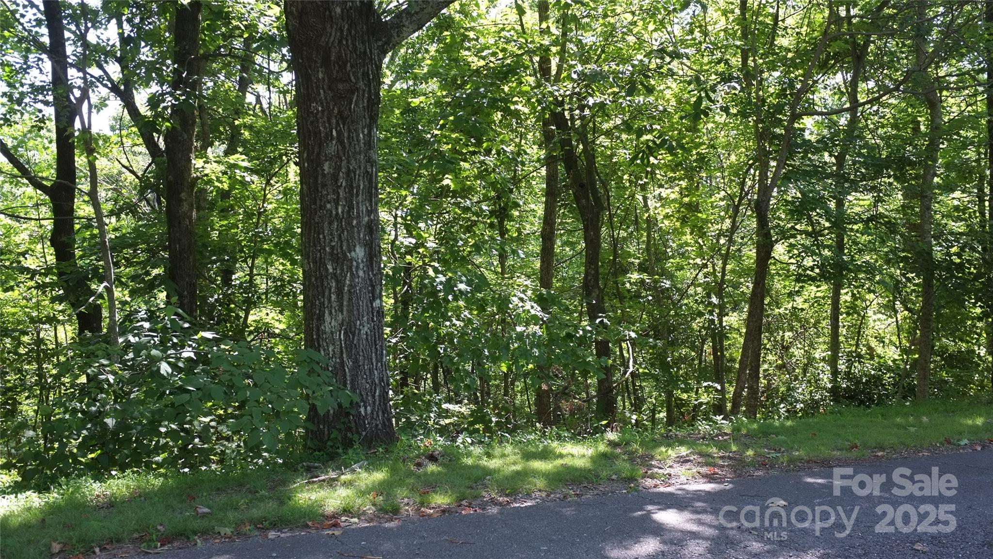 White Oak Mountain - Land