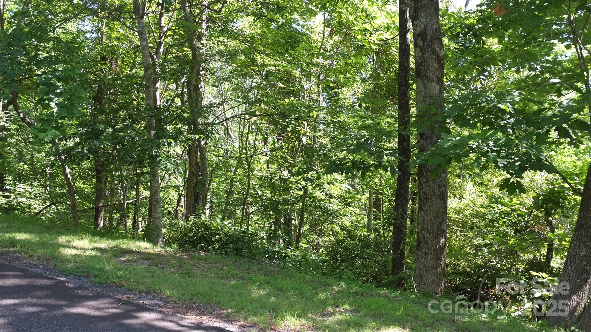 White Oak Mountain - Land