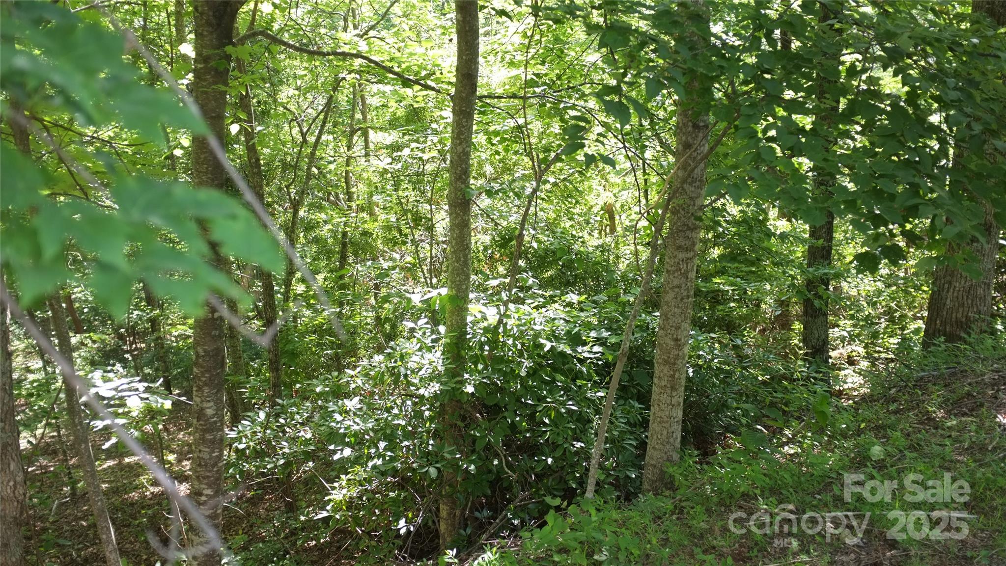White Oak Mountain - Land